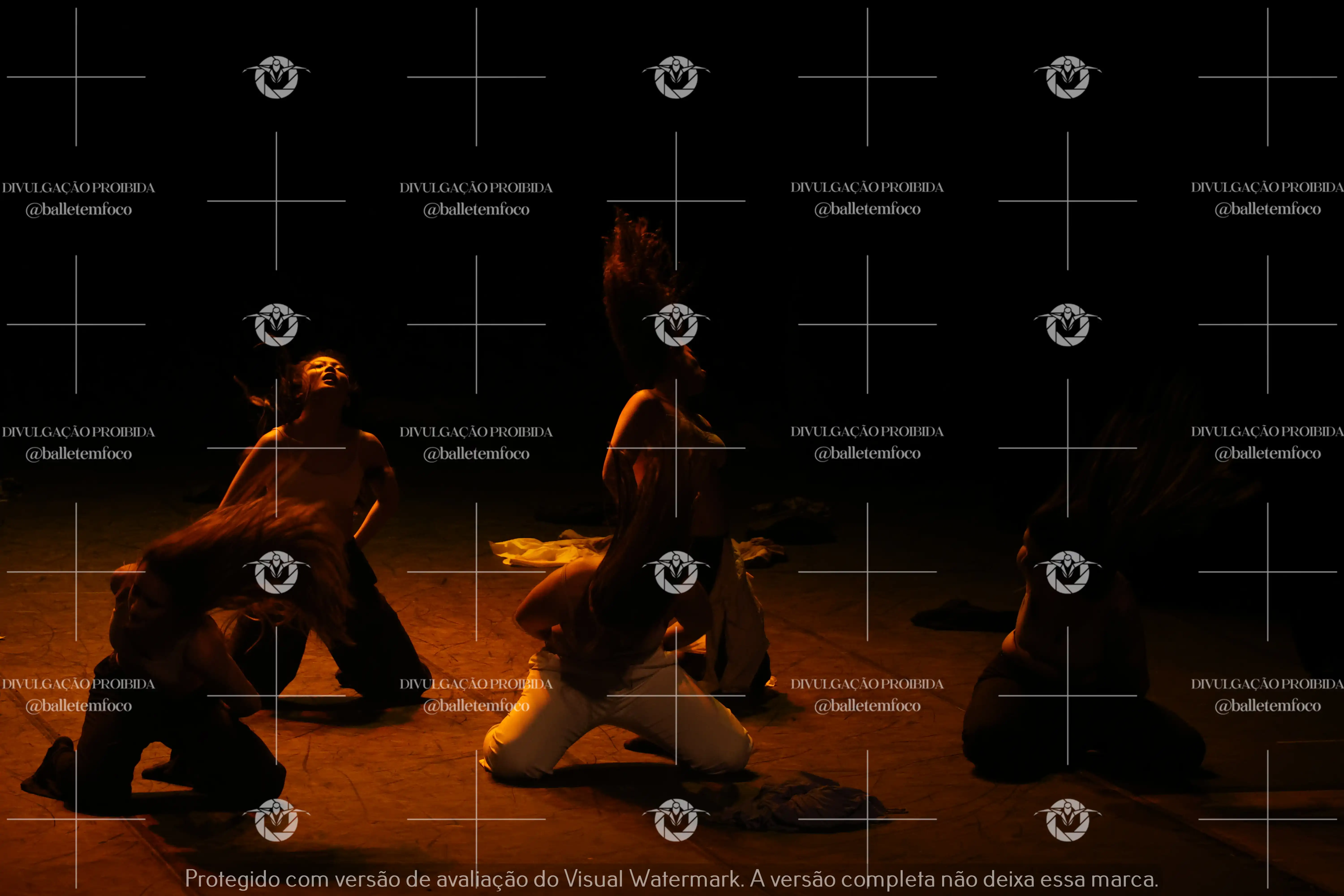 1325_221C (170).webp