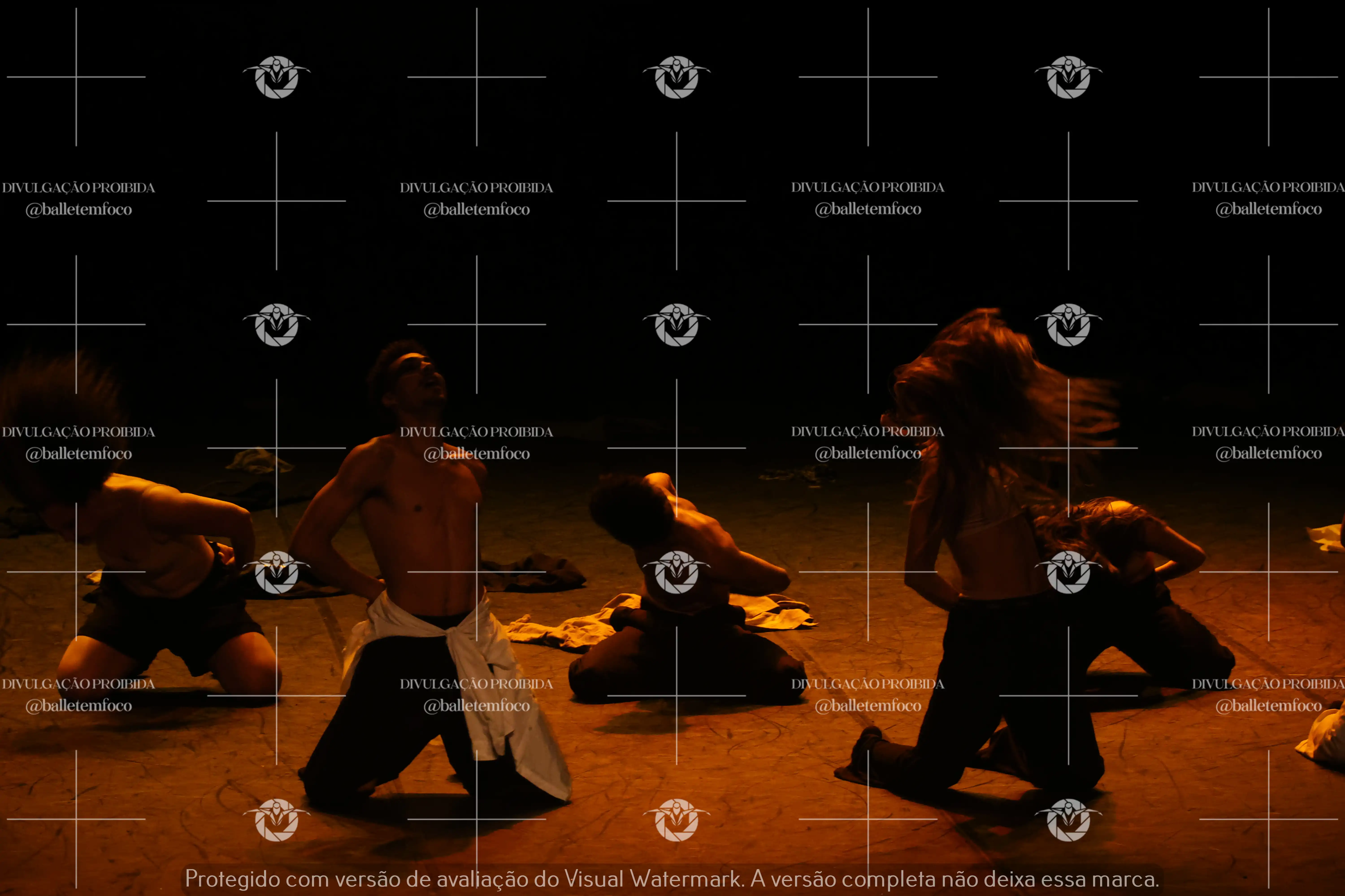 1325_221C (171).webp