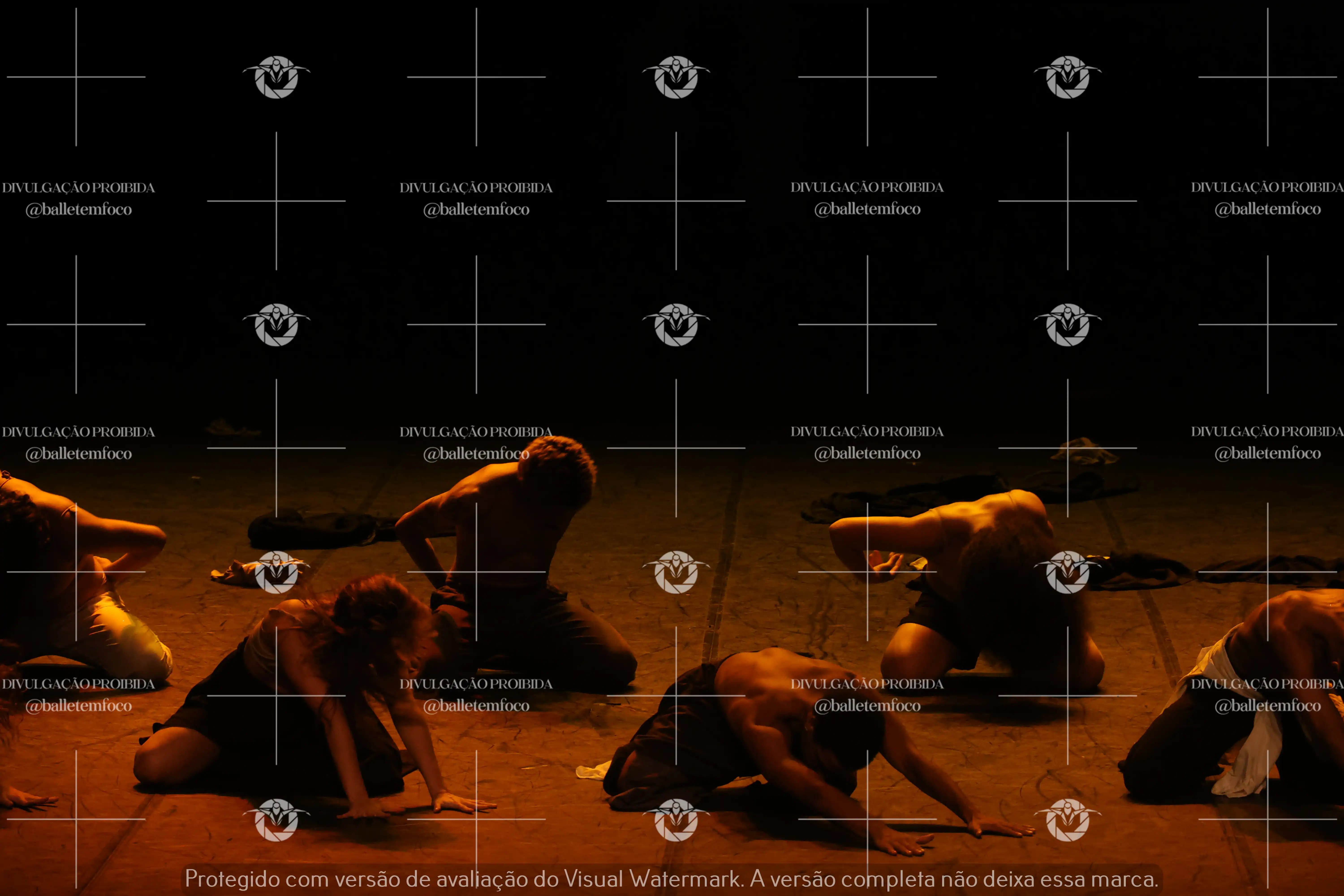 1325_221C (173).webp