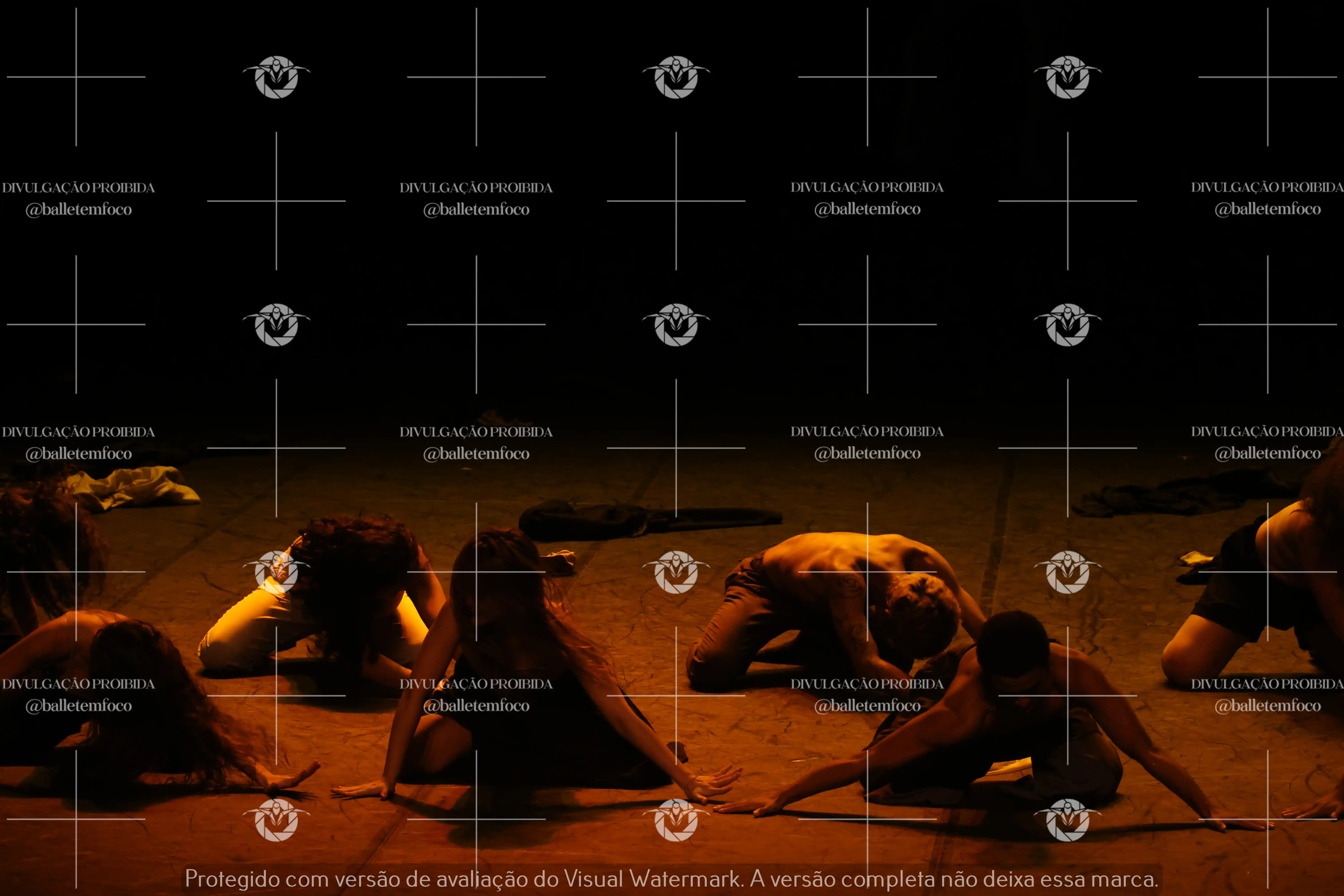 1325_221C (174).webp