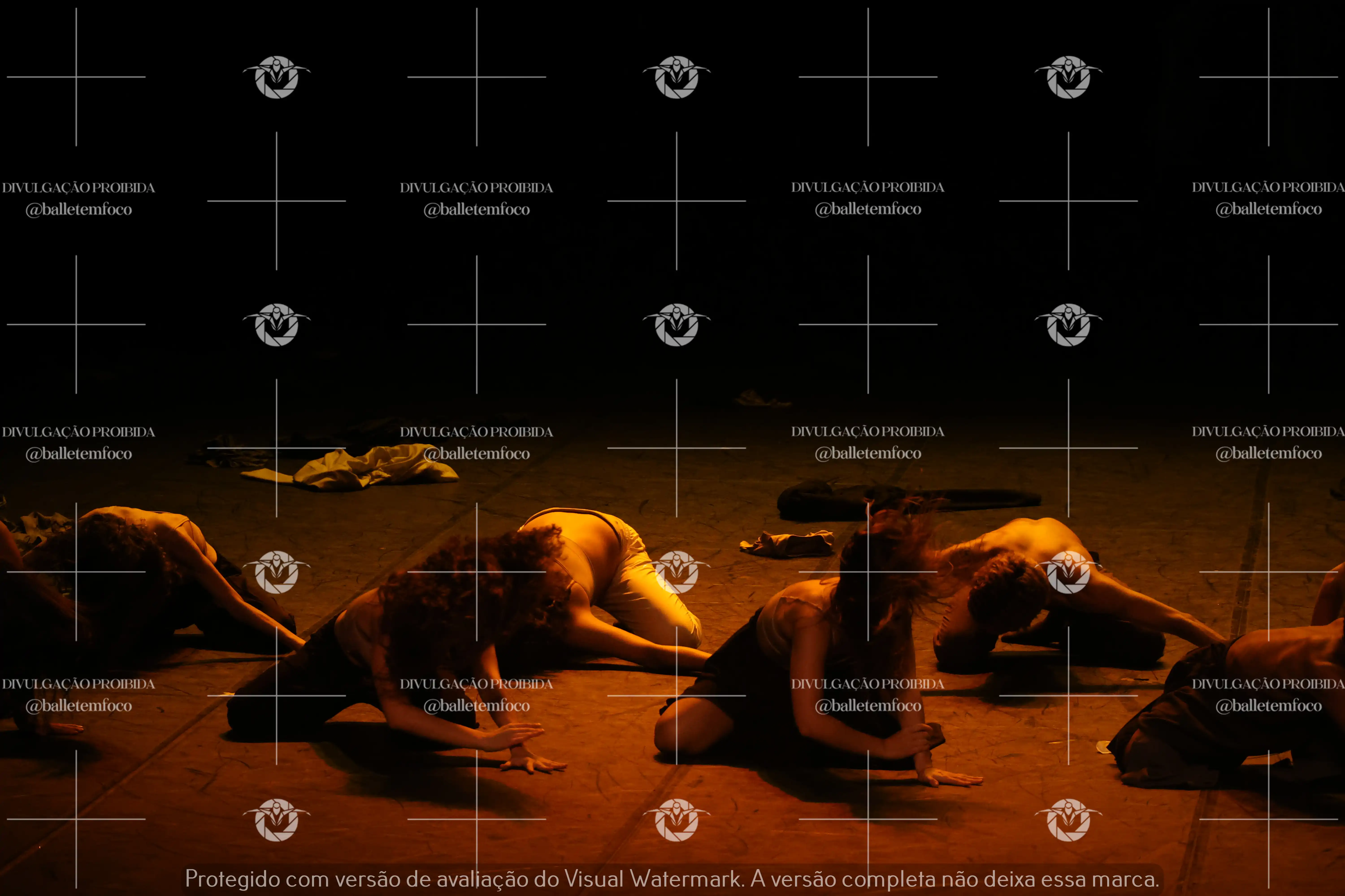 1325_221C (175).webp