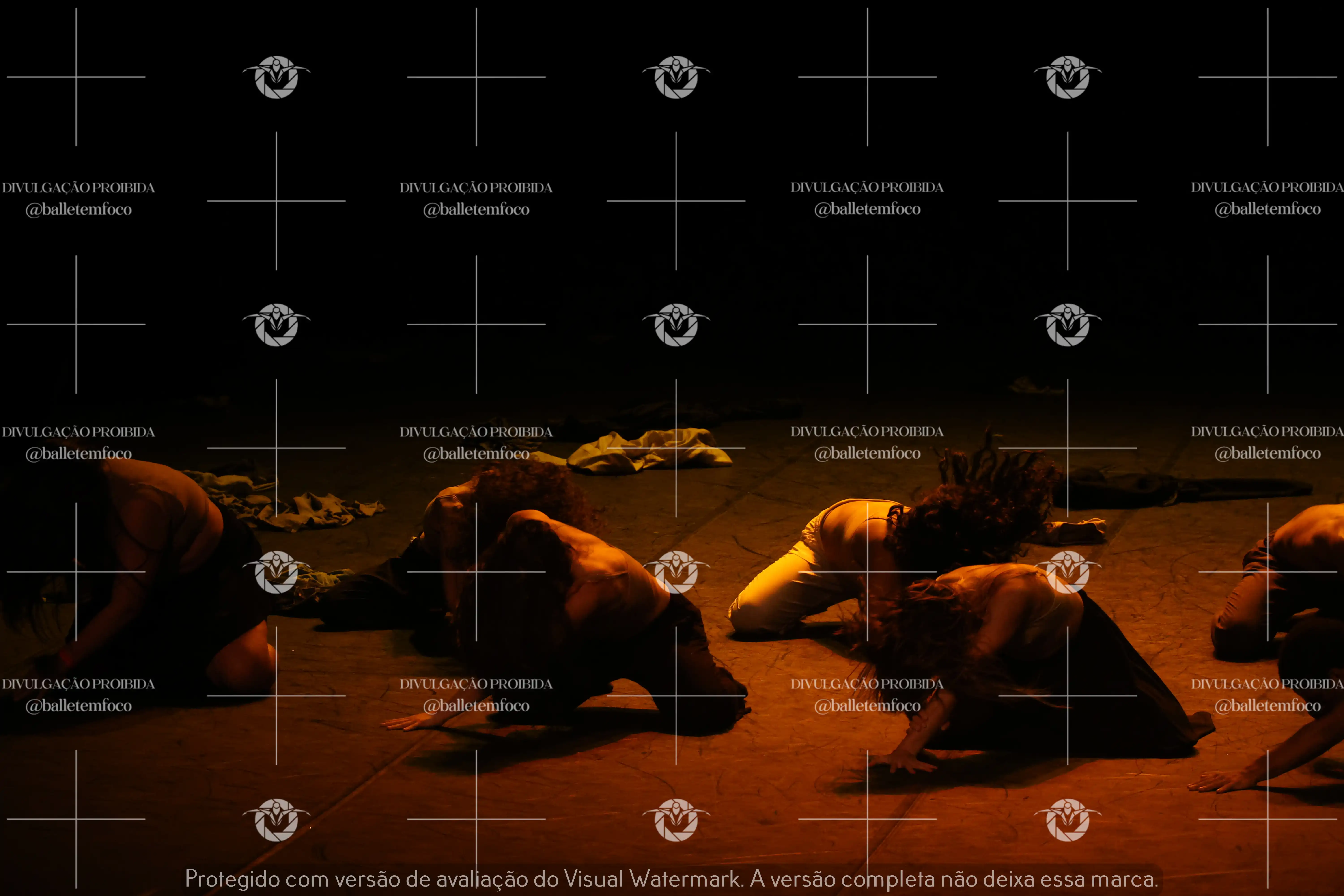 1325_221C (176).webp