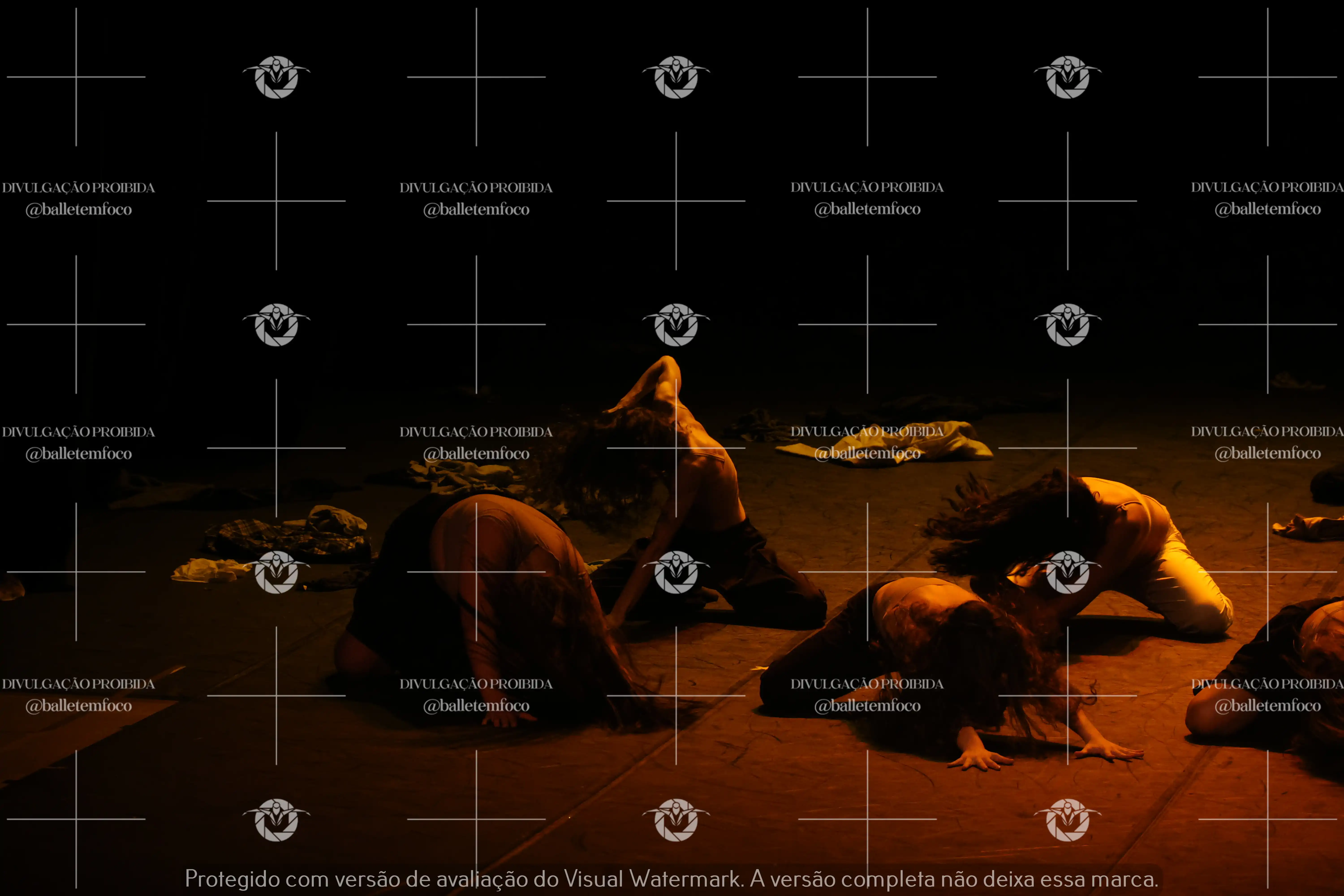 1325_221C (177).webp