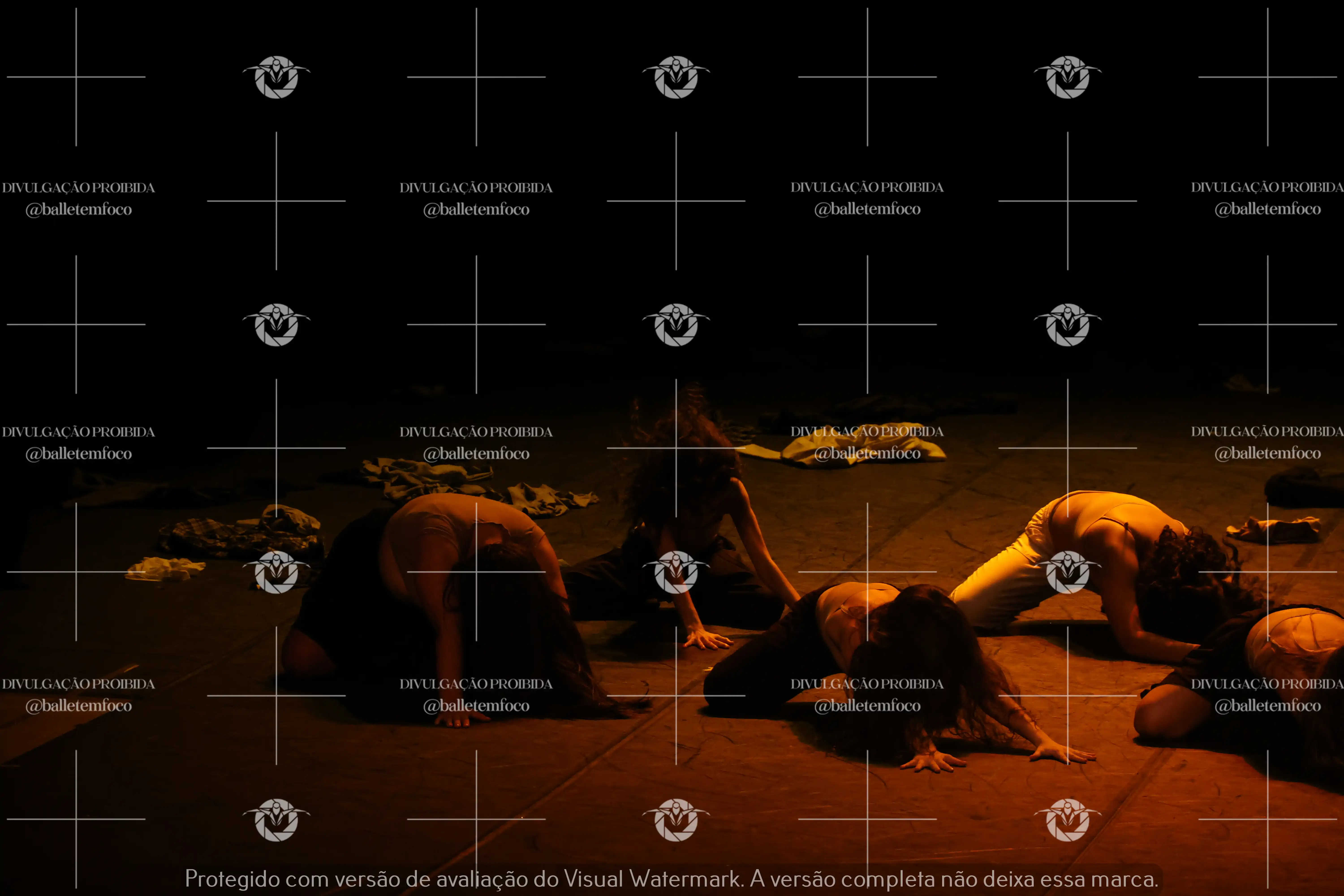 1325_221C (178).webp