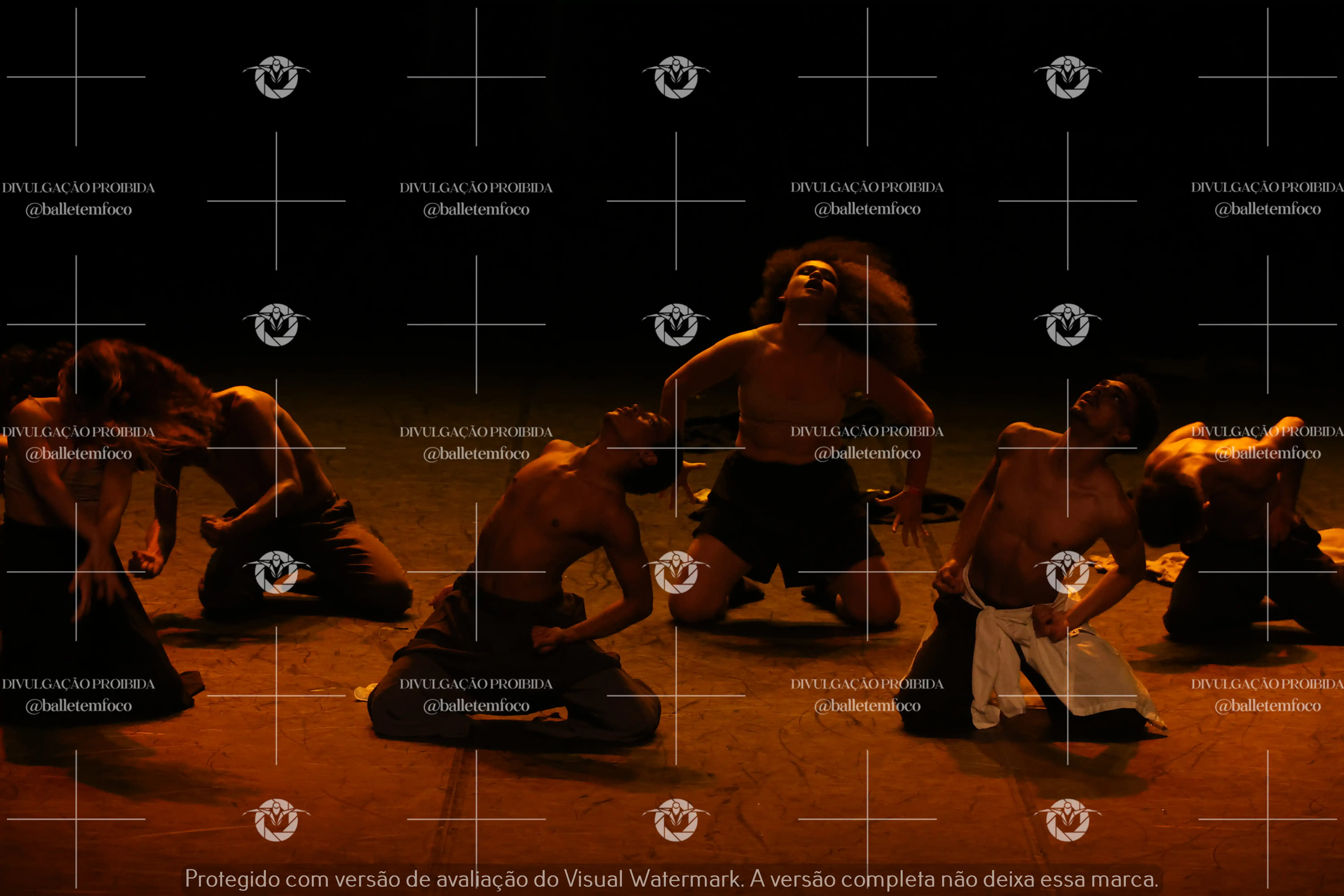 1325_221C (180).webp