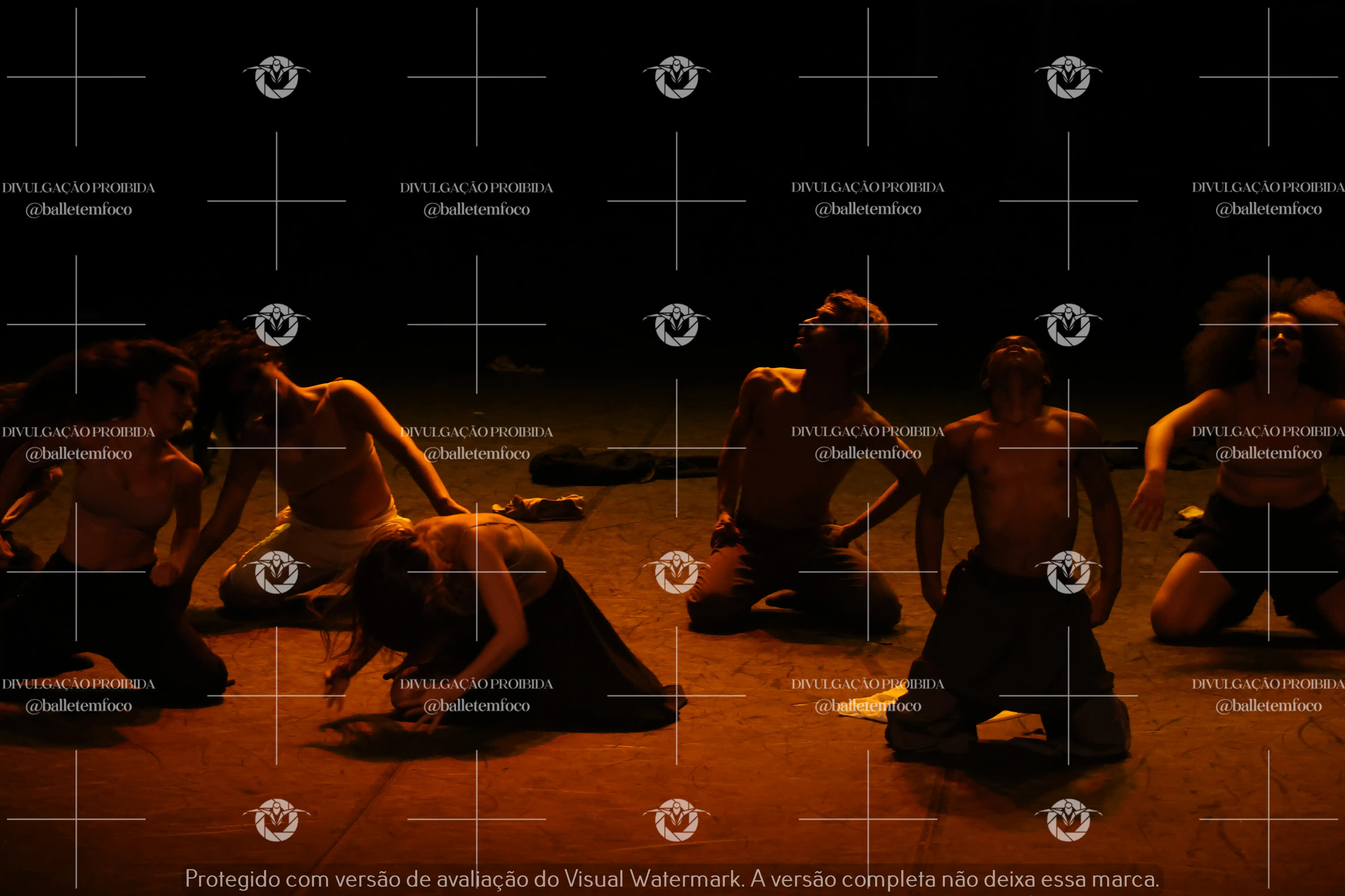 1325_221C (181).webp