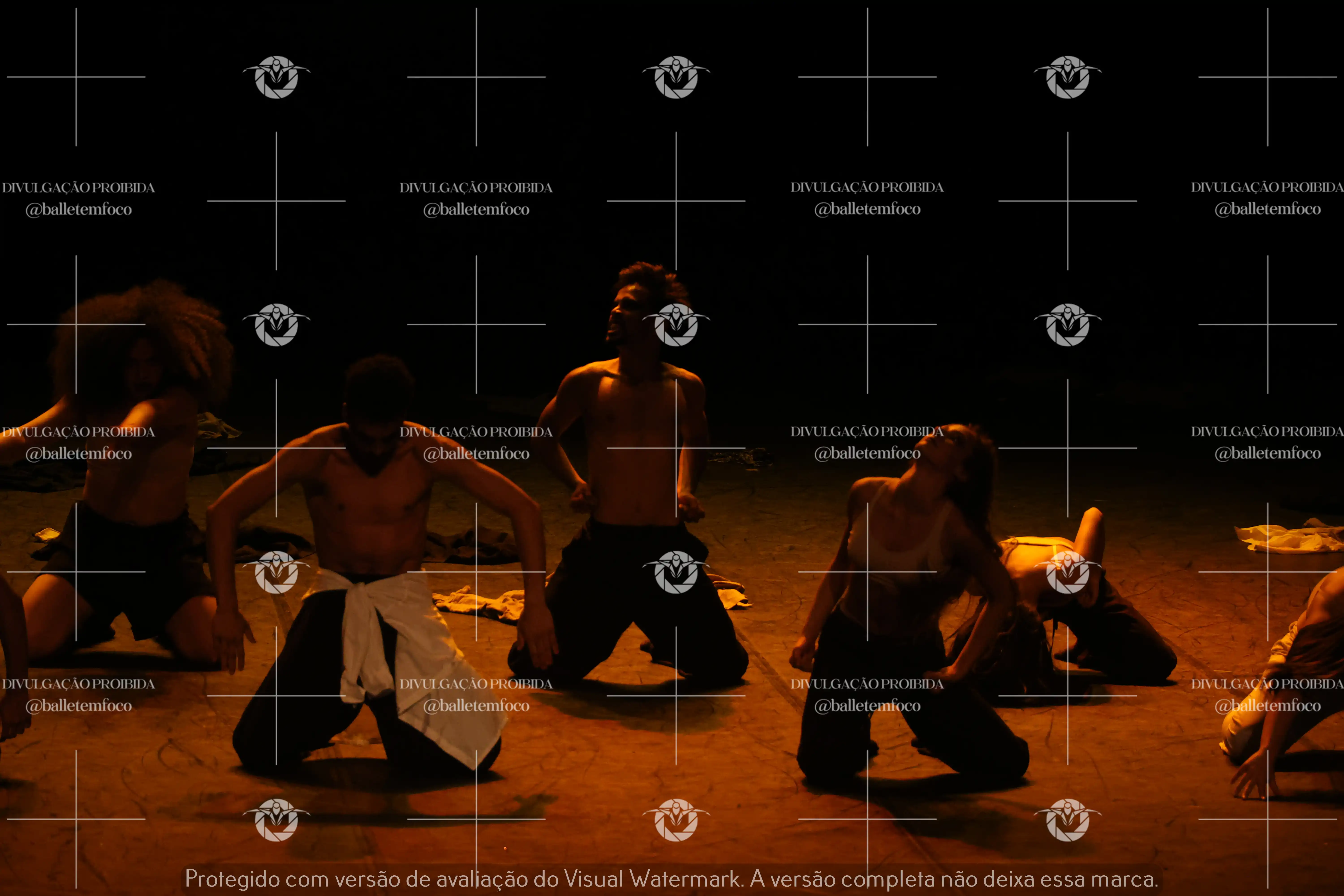 1325_221C (182).webp