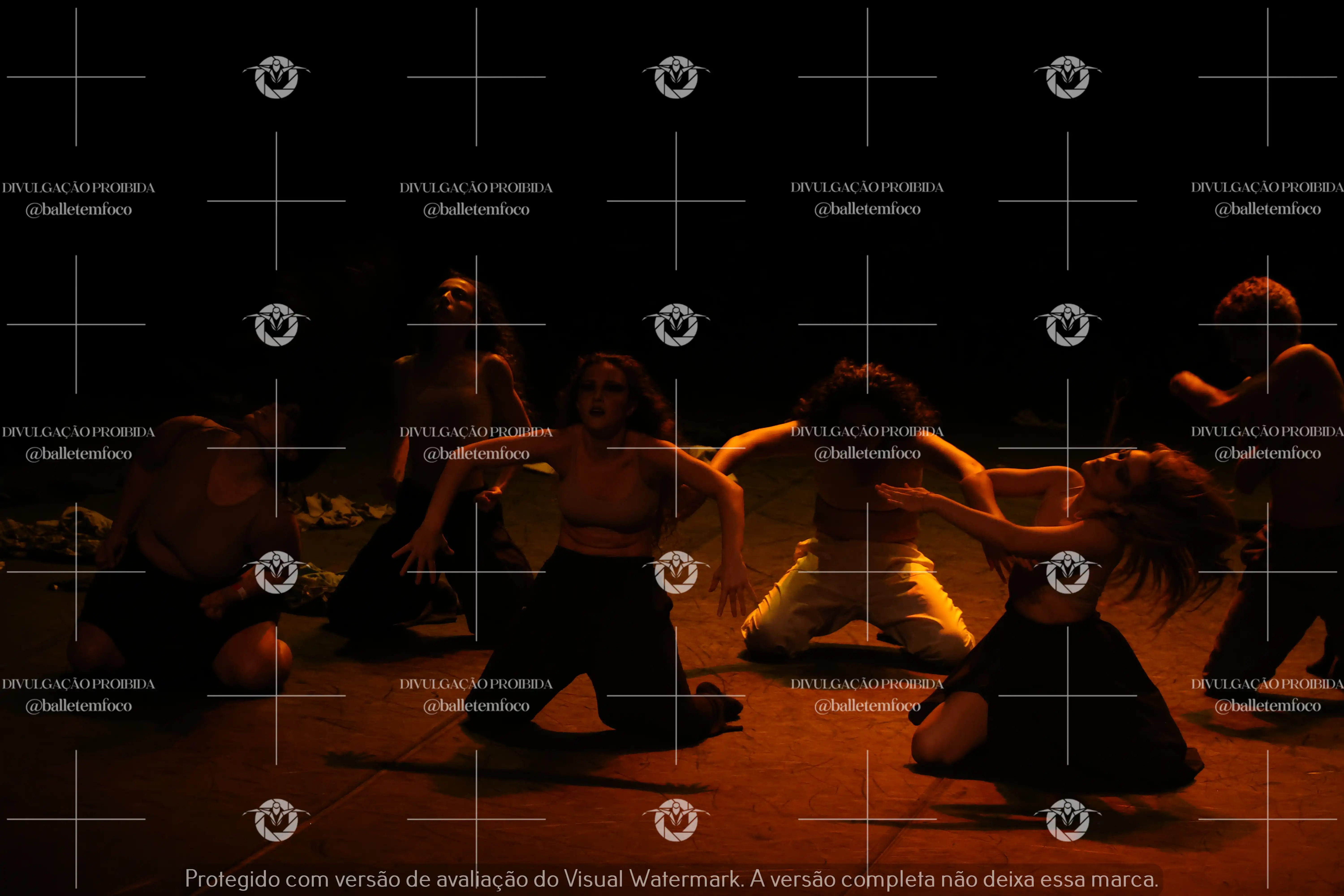 1325_221C (184).webp