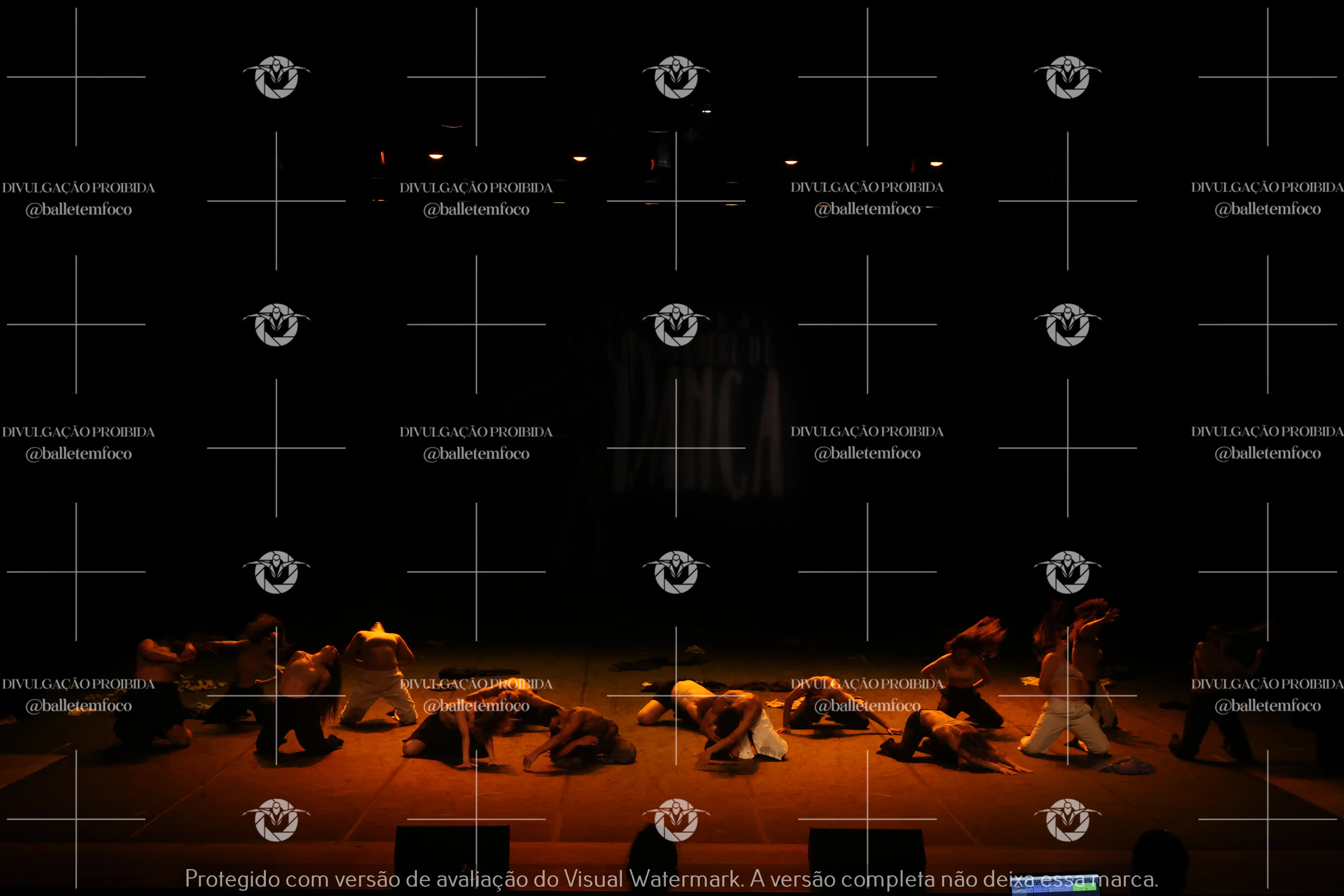 1325_221C (185).webp