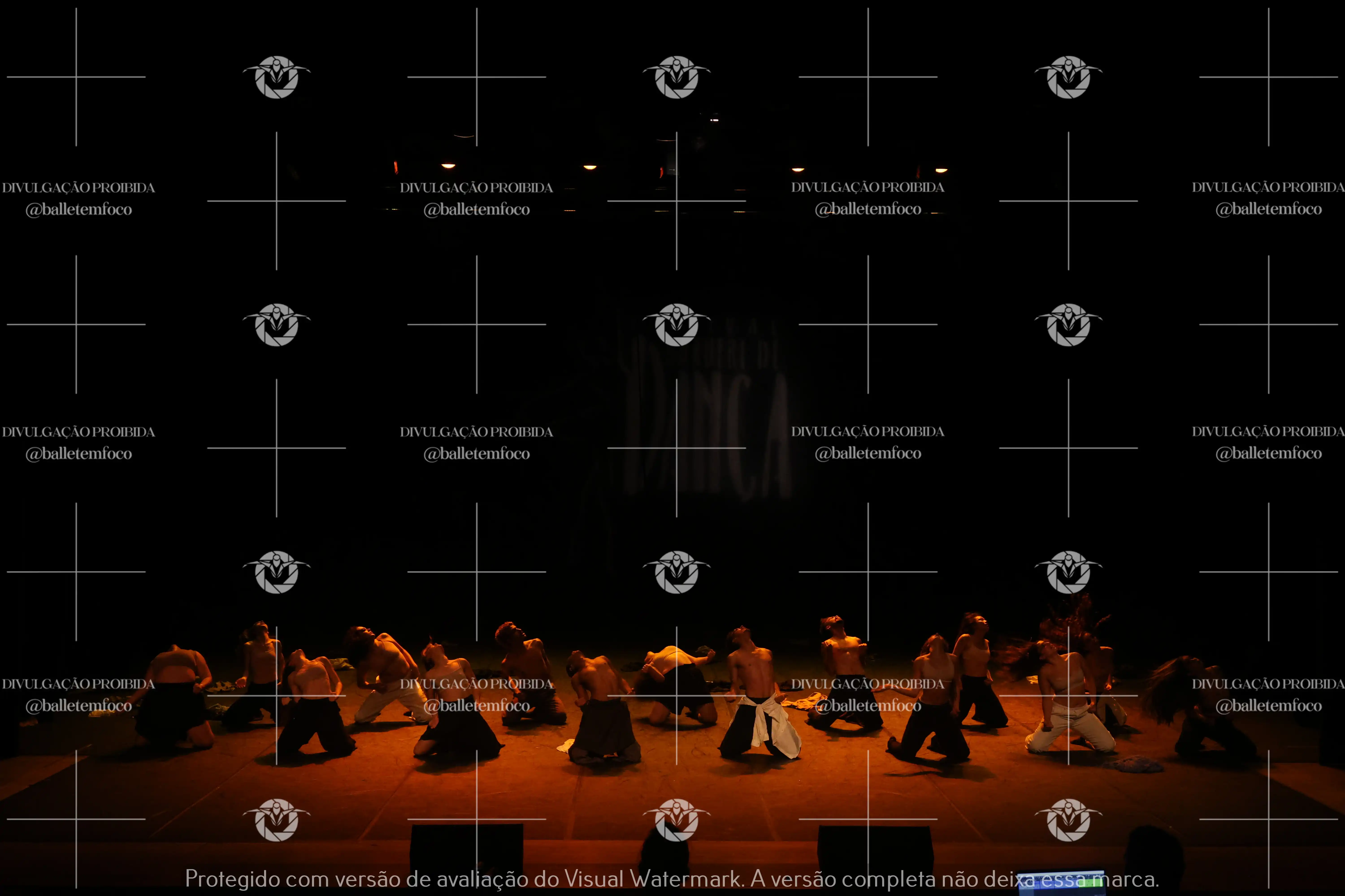 1325_221C (186).webp