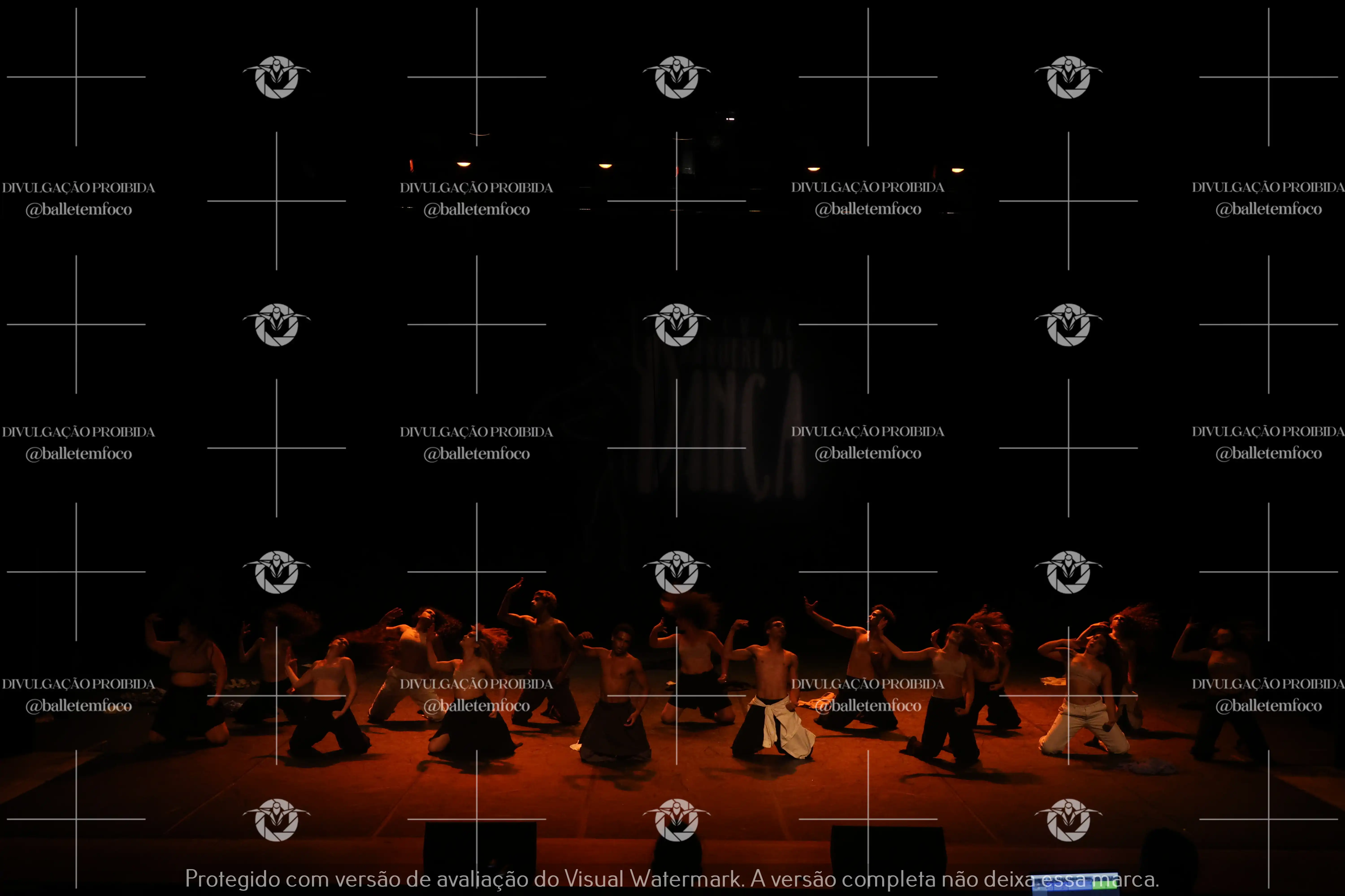 1325_221C (187).webp