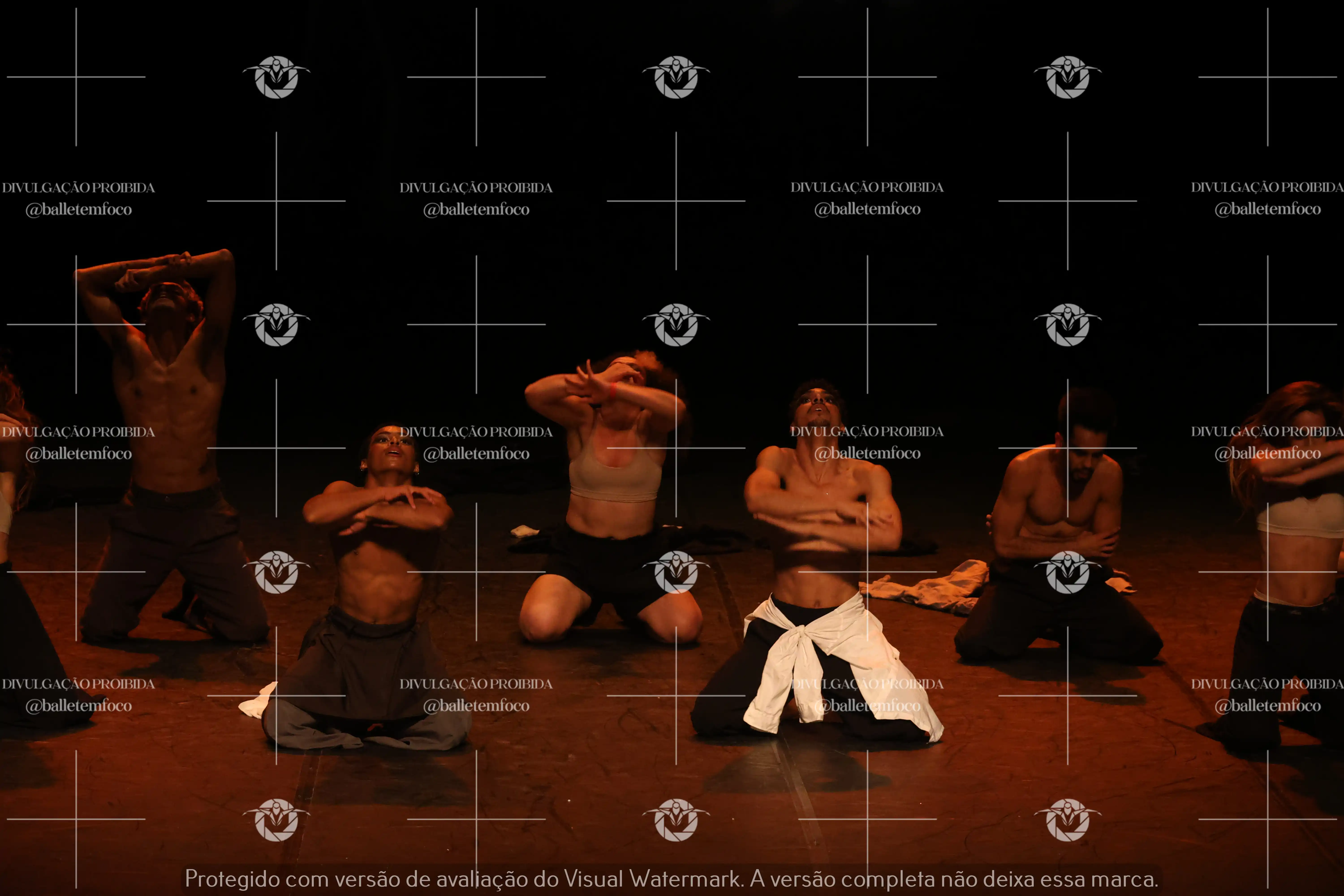 1325_221C (188).webp