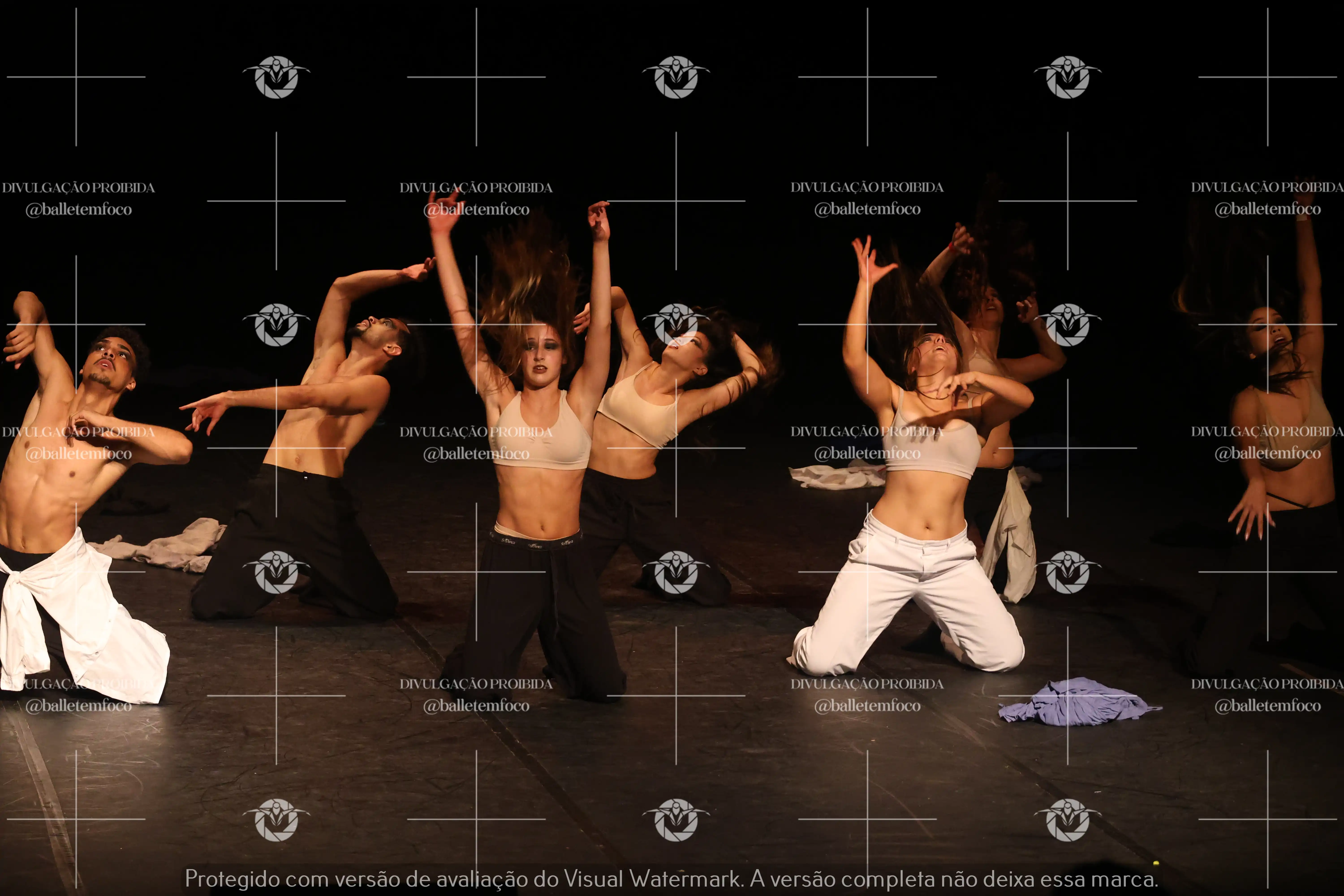 1325_221C (191).webp