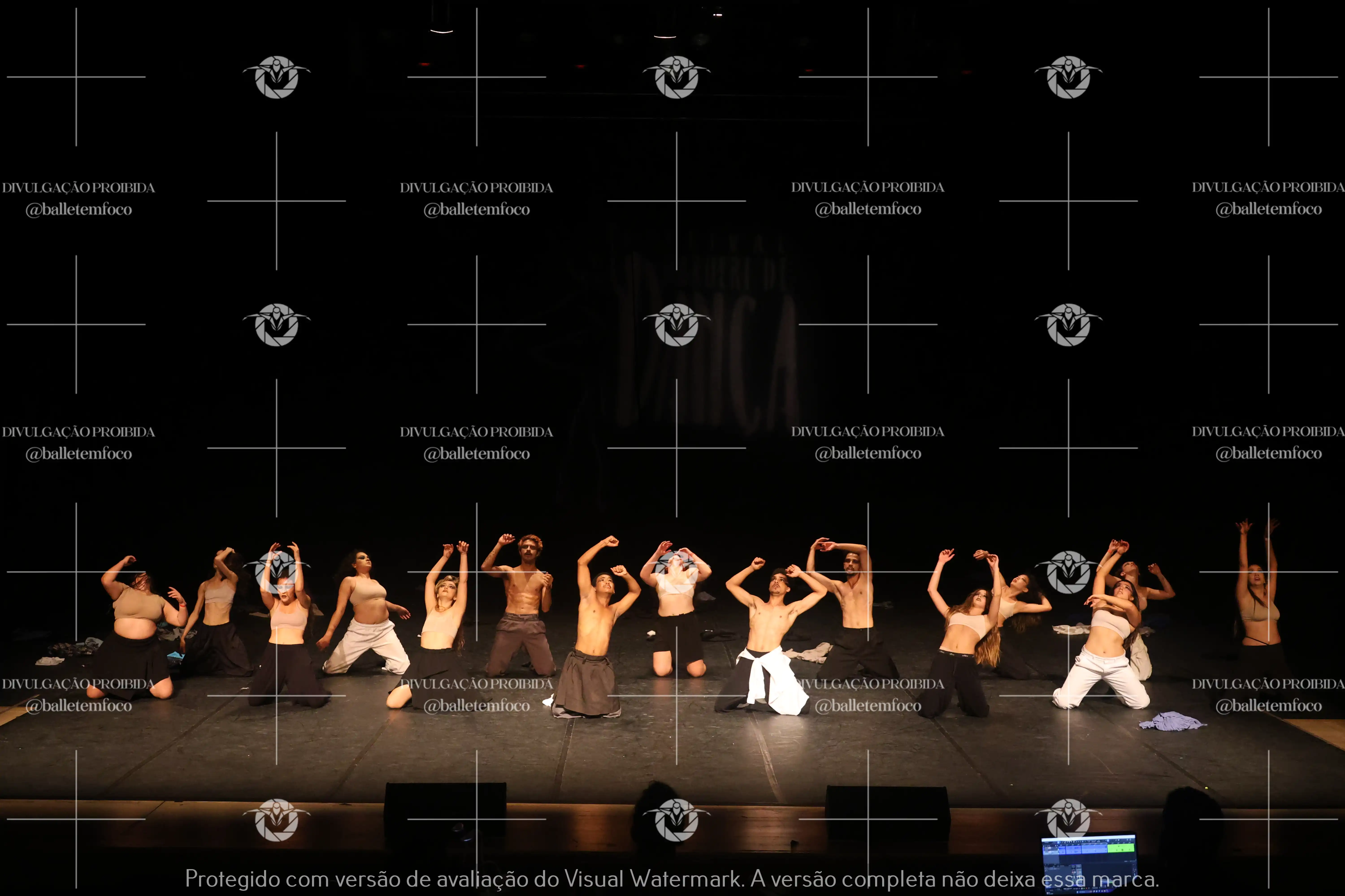 1325_221C (192).webp