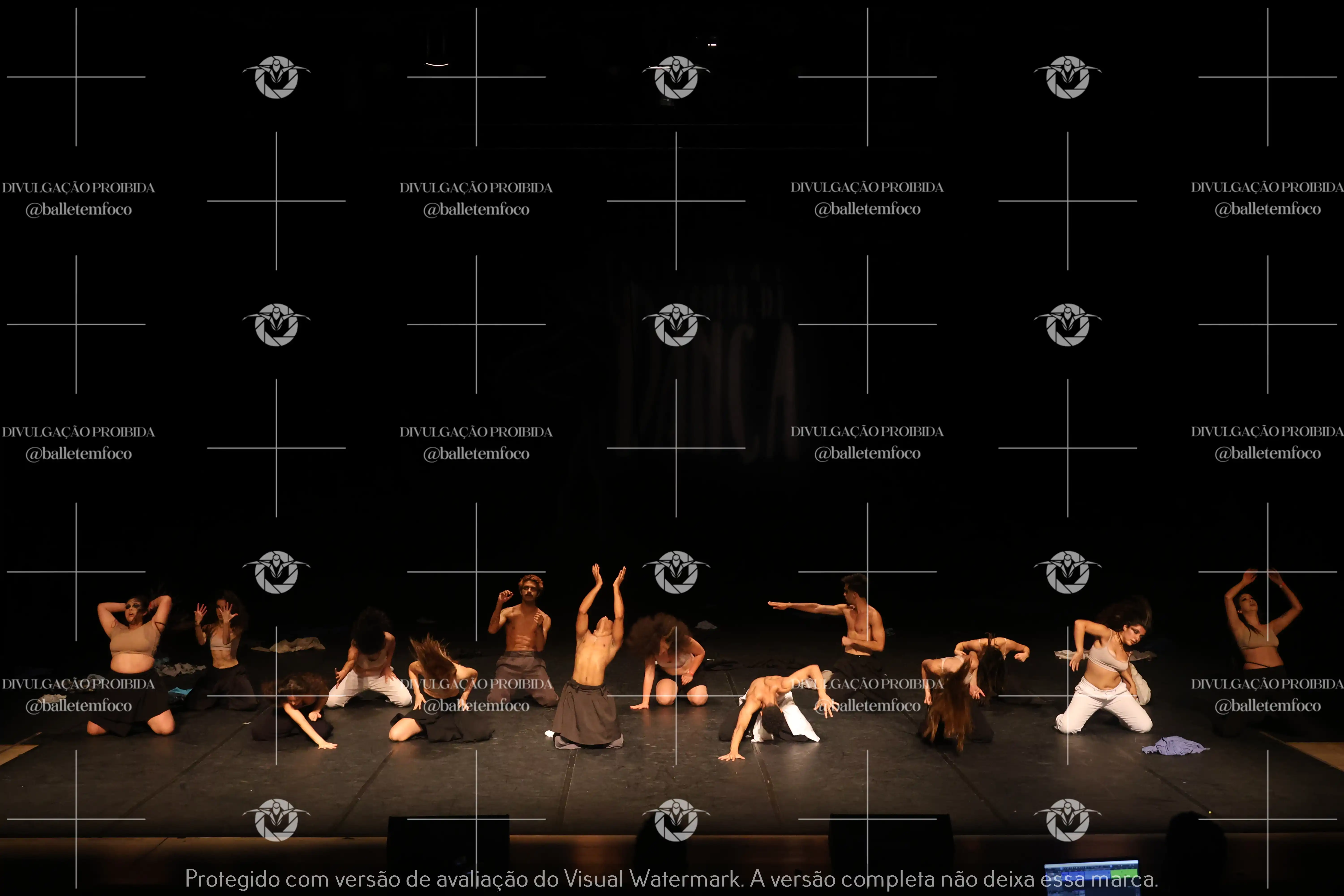 1325_221C (193).webp