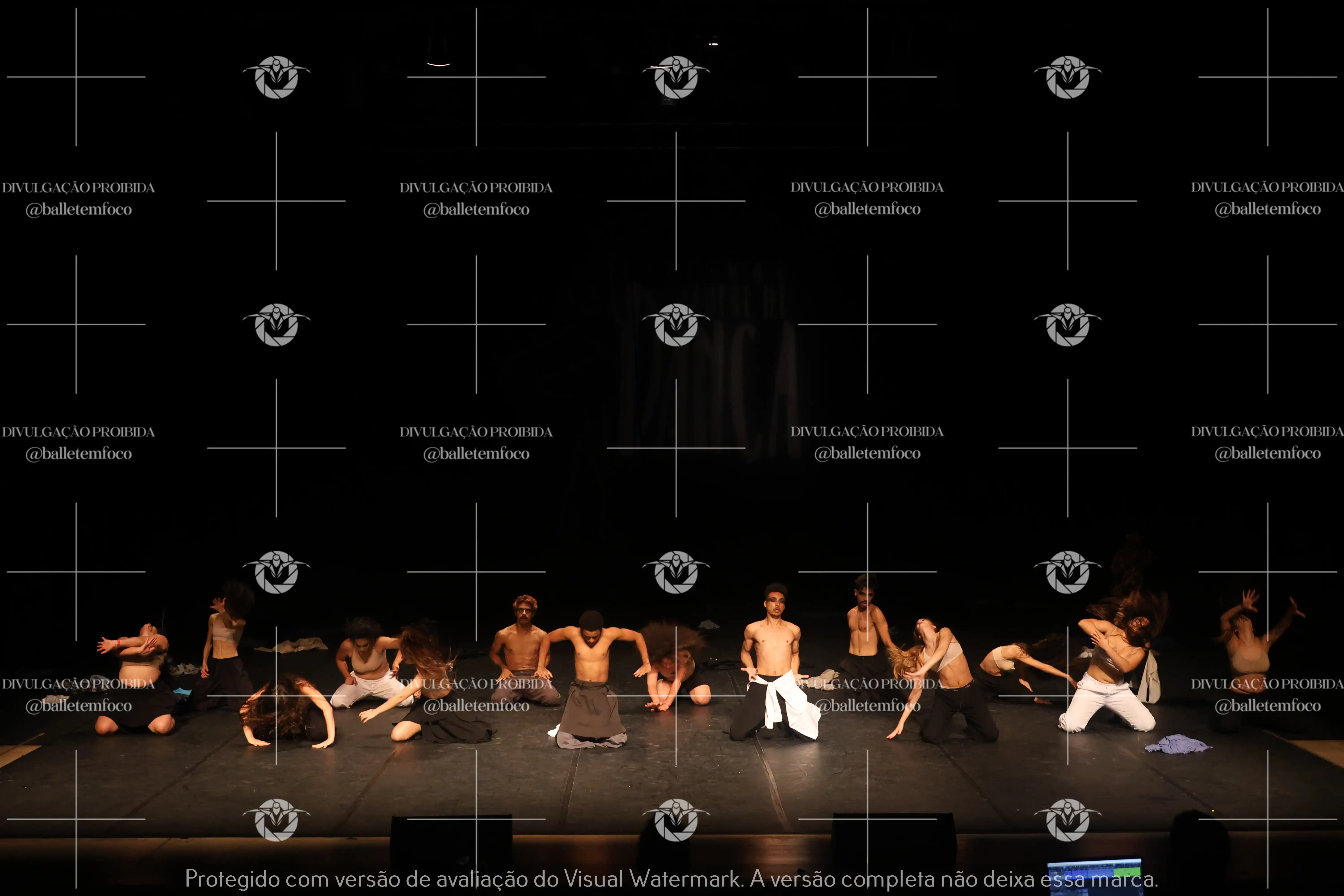 1325_221C (194).webp