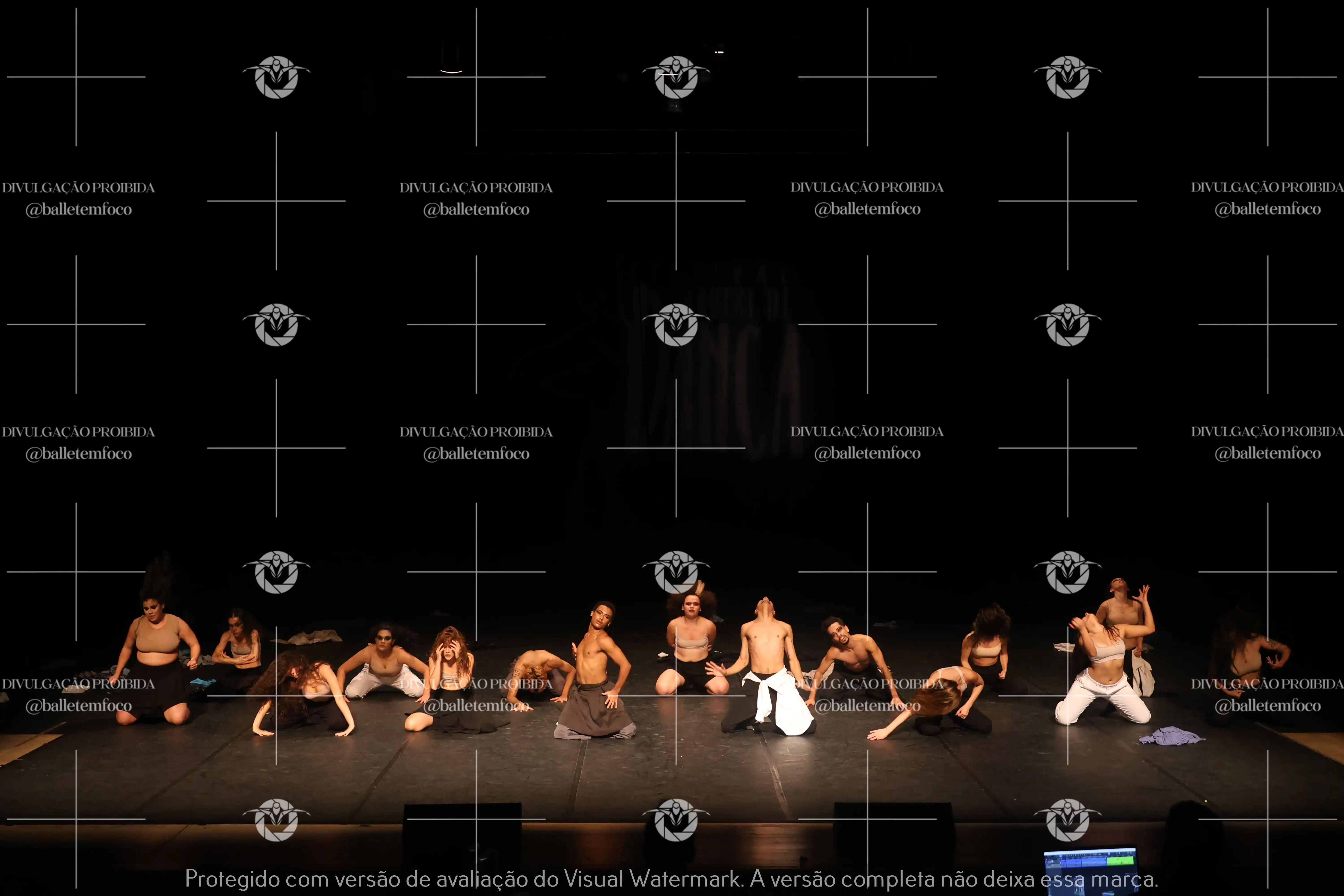 1325_221C (196).webp