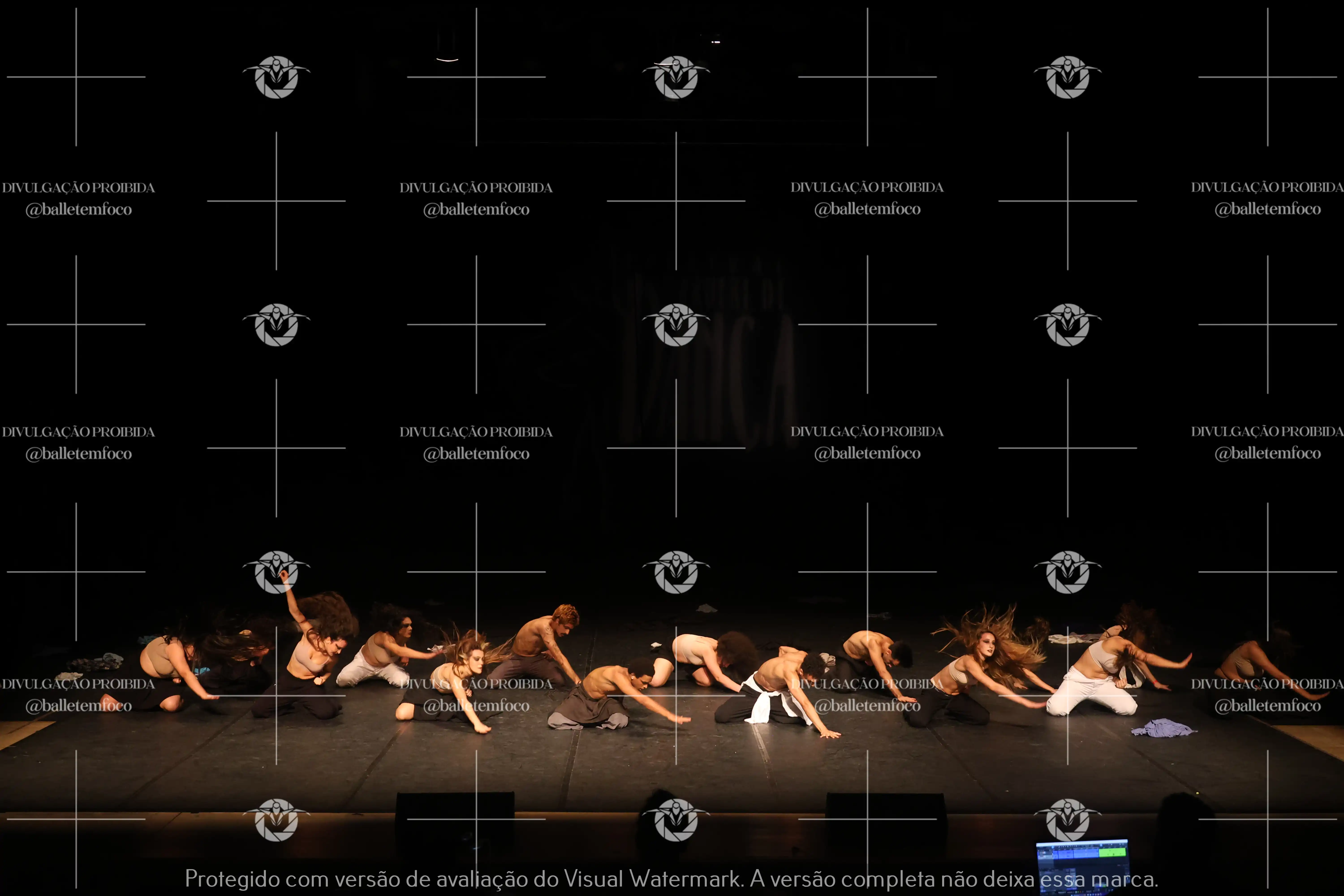 1325_221C (197).webp