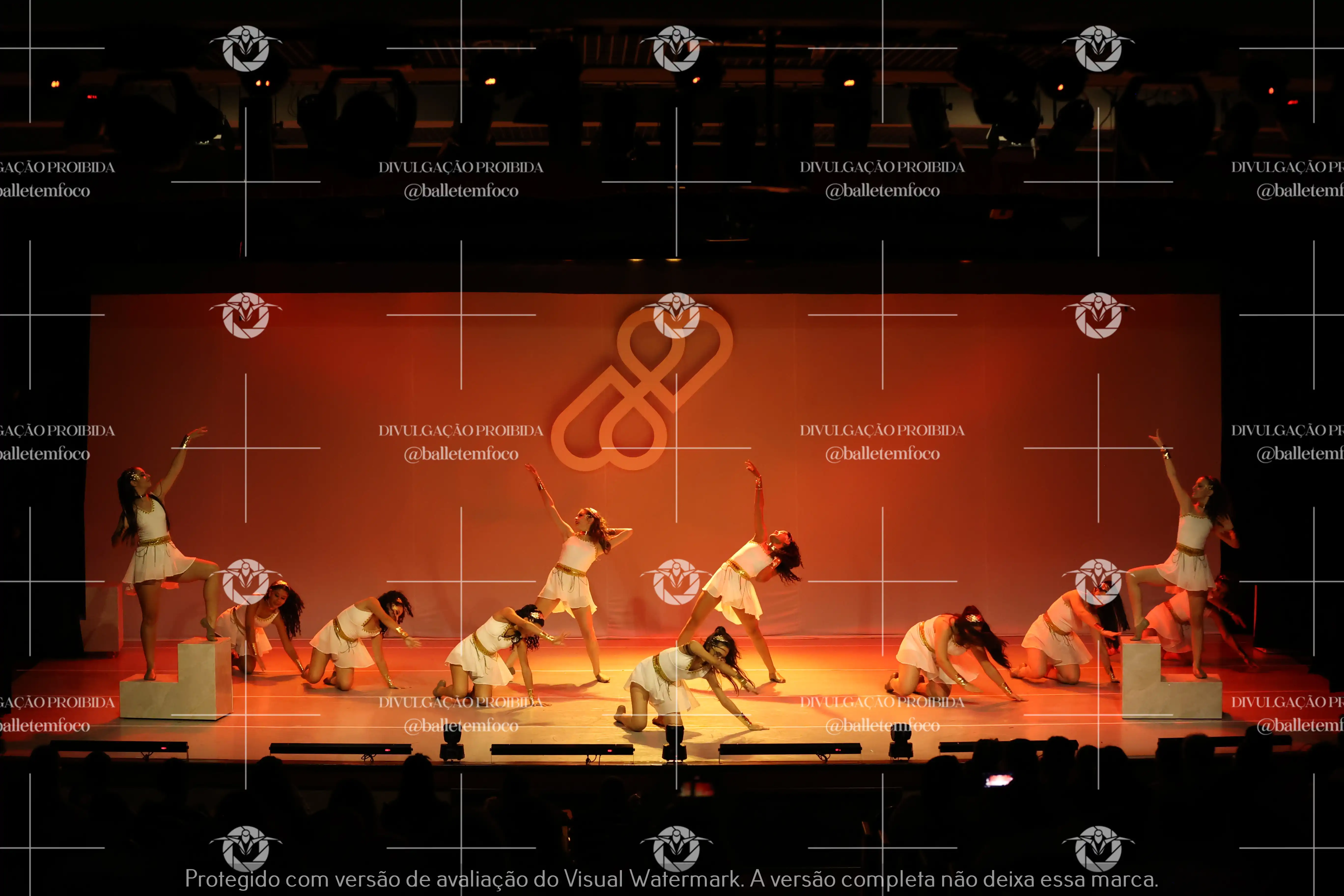 1425_118B (100).webp