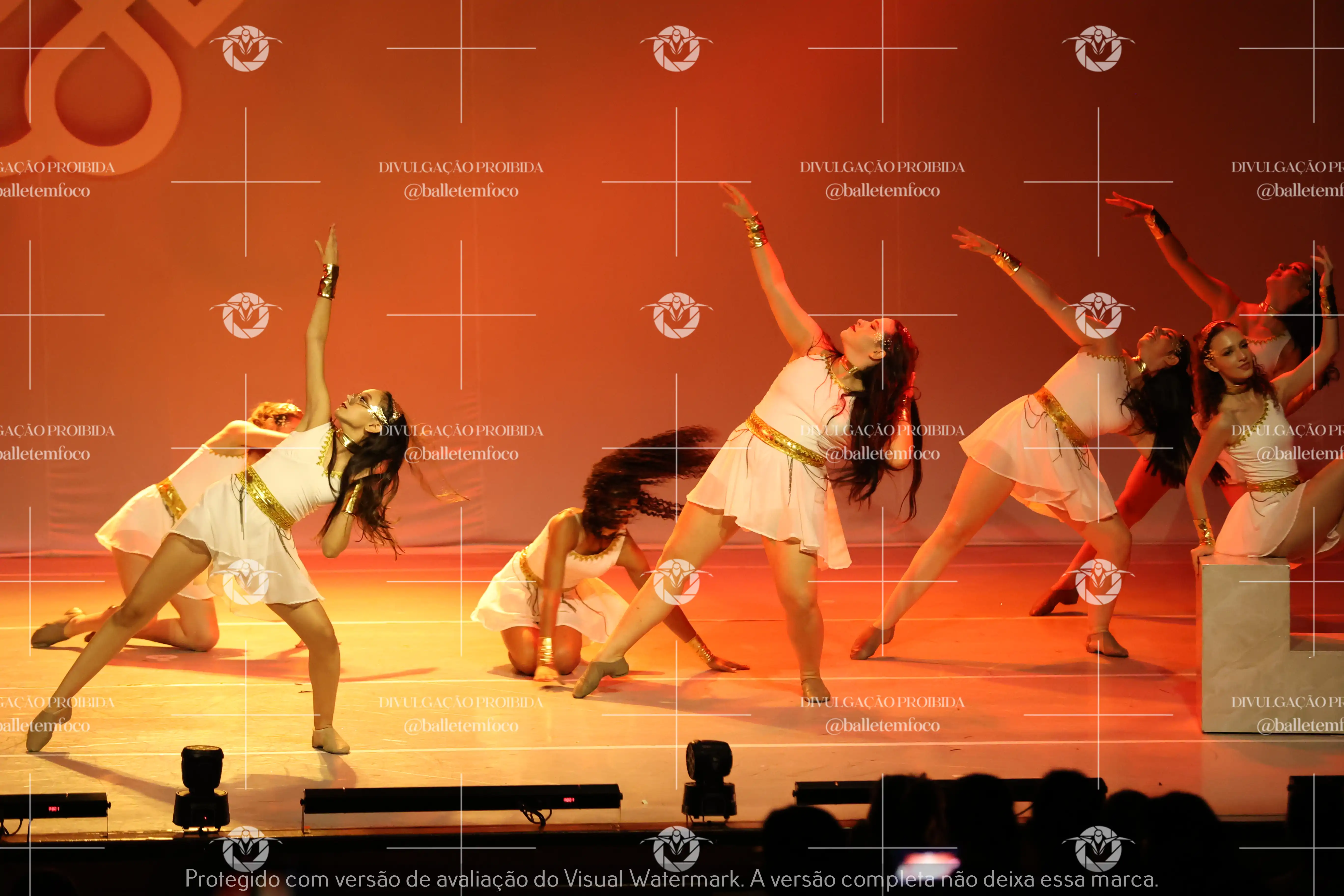 1425_118B (103).webp