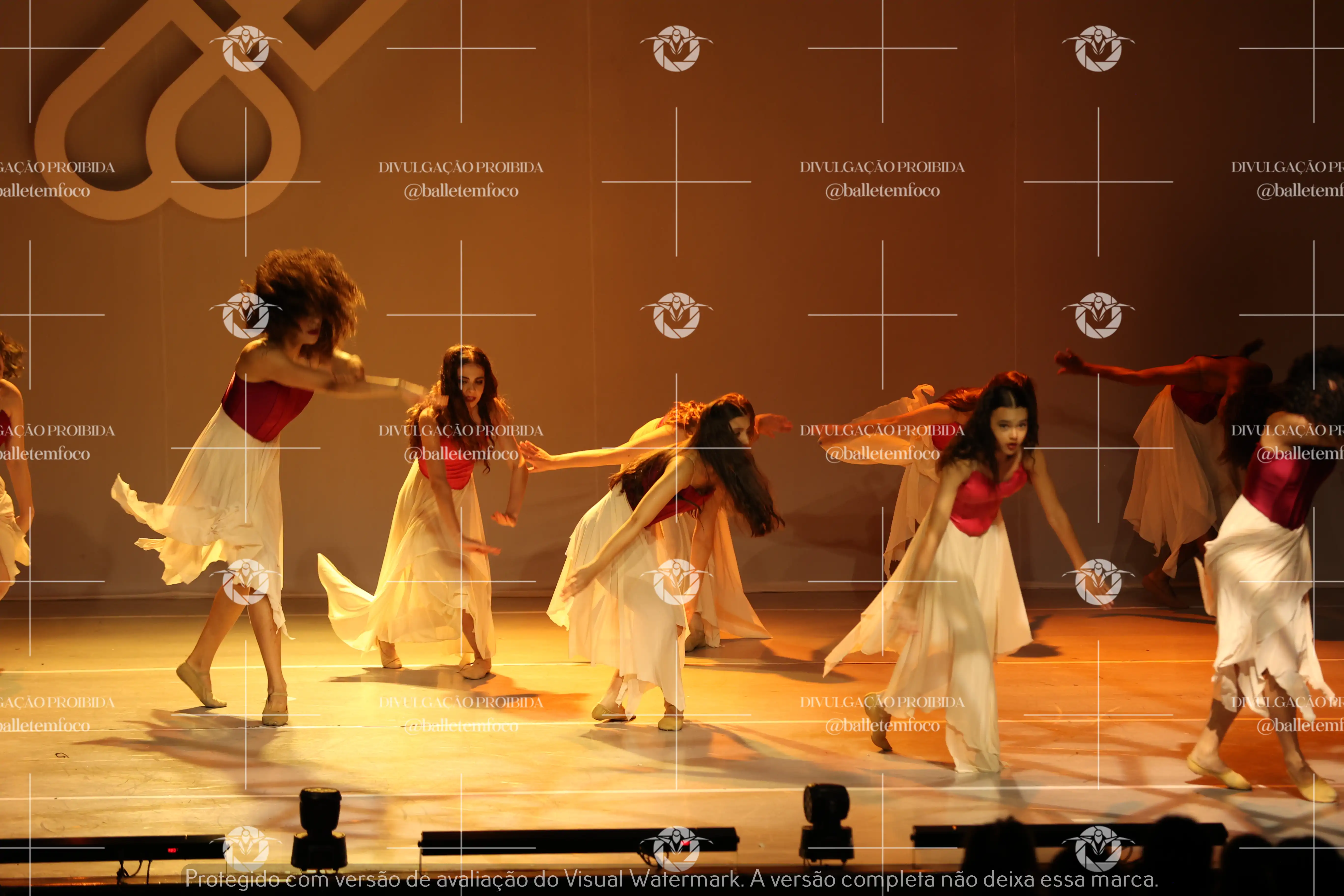 1425_119B (113).webp