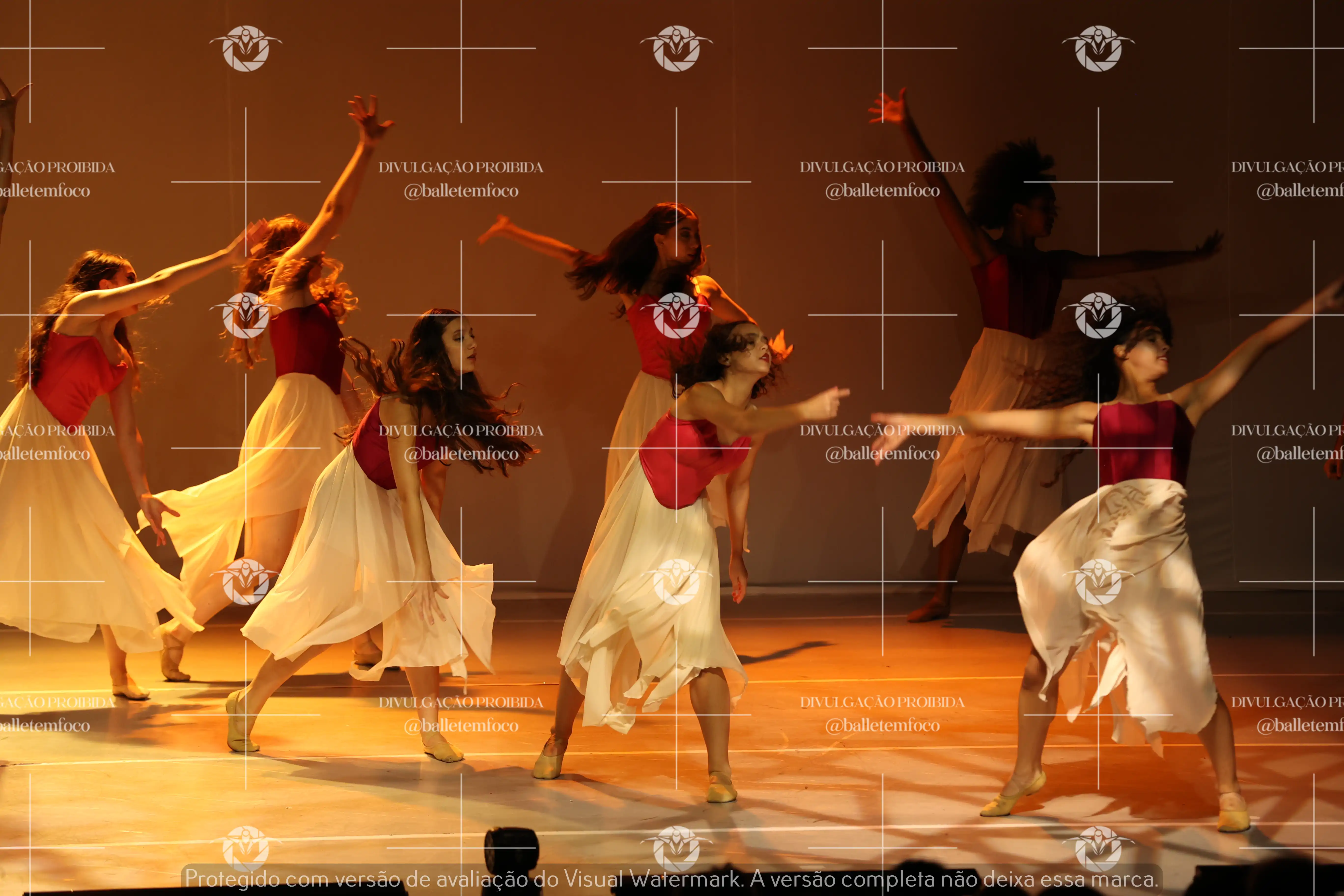 1425_119B (115).webp