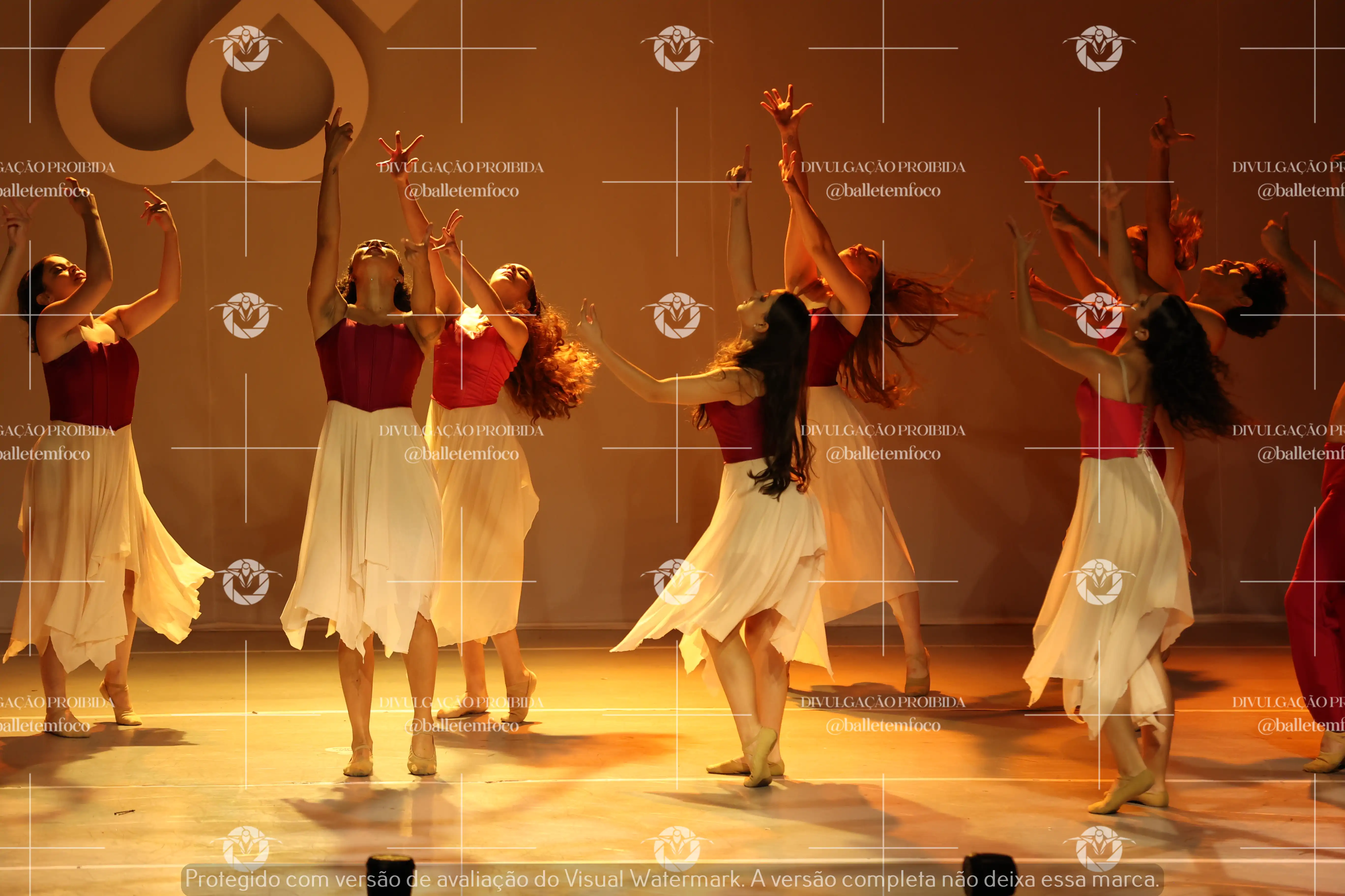 1425_119B (116).webp