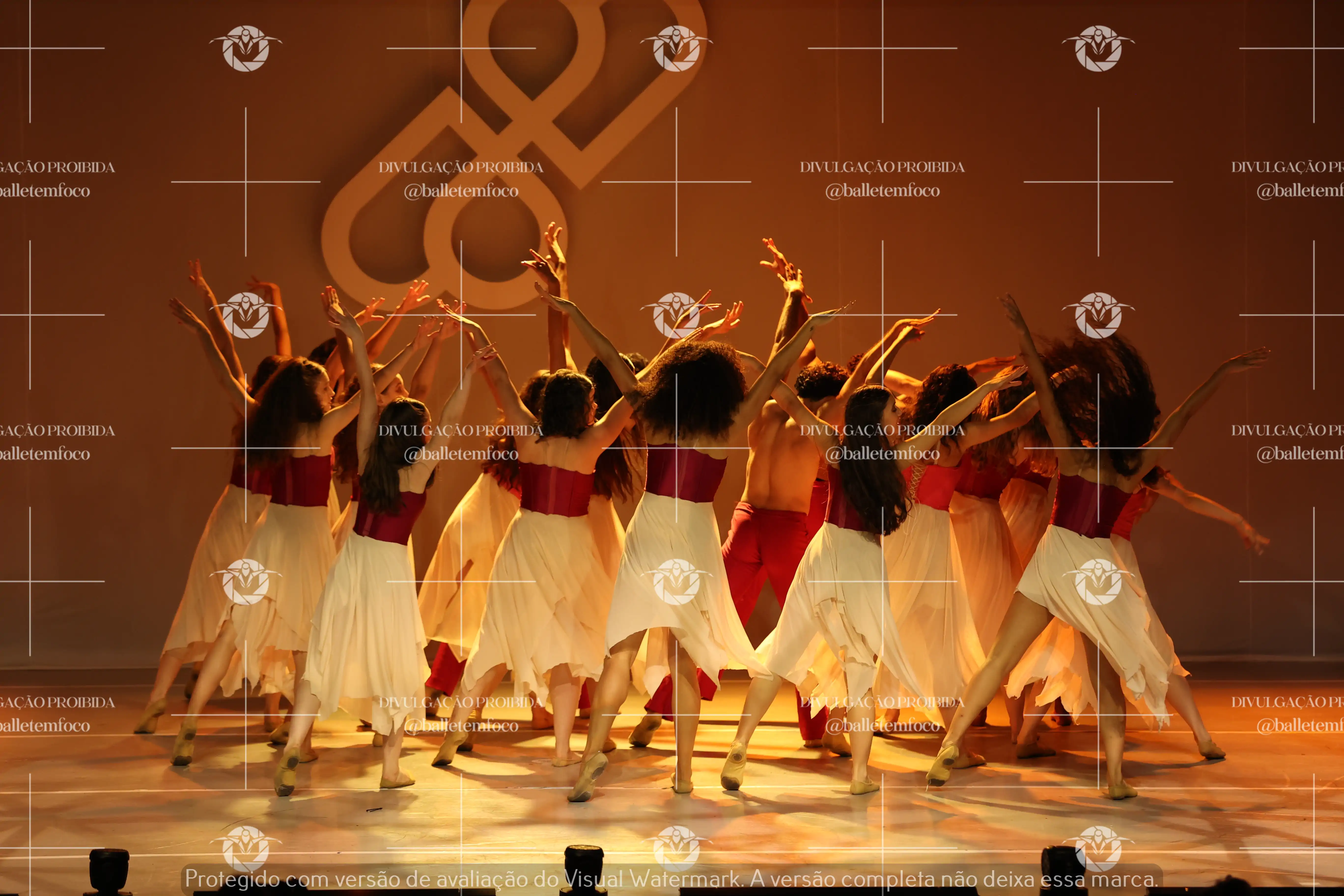 1425_119B (119).webp