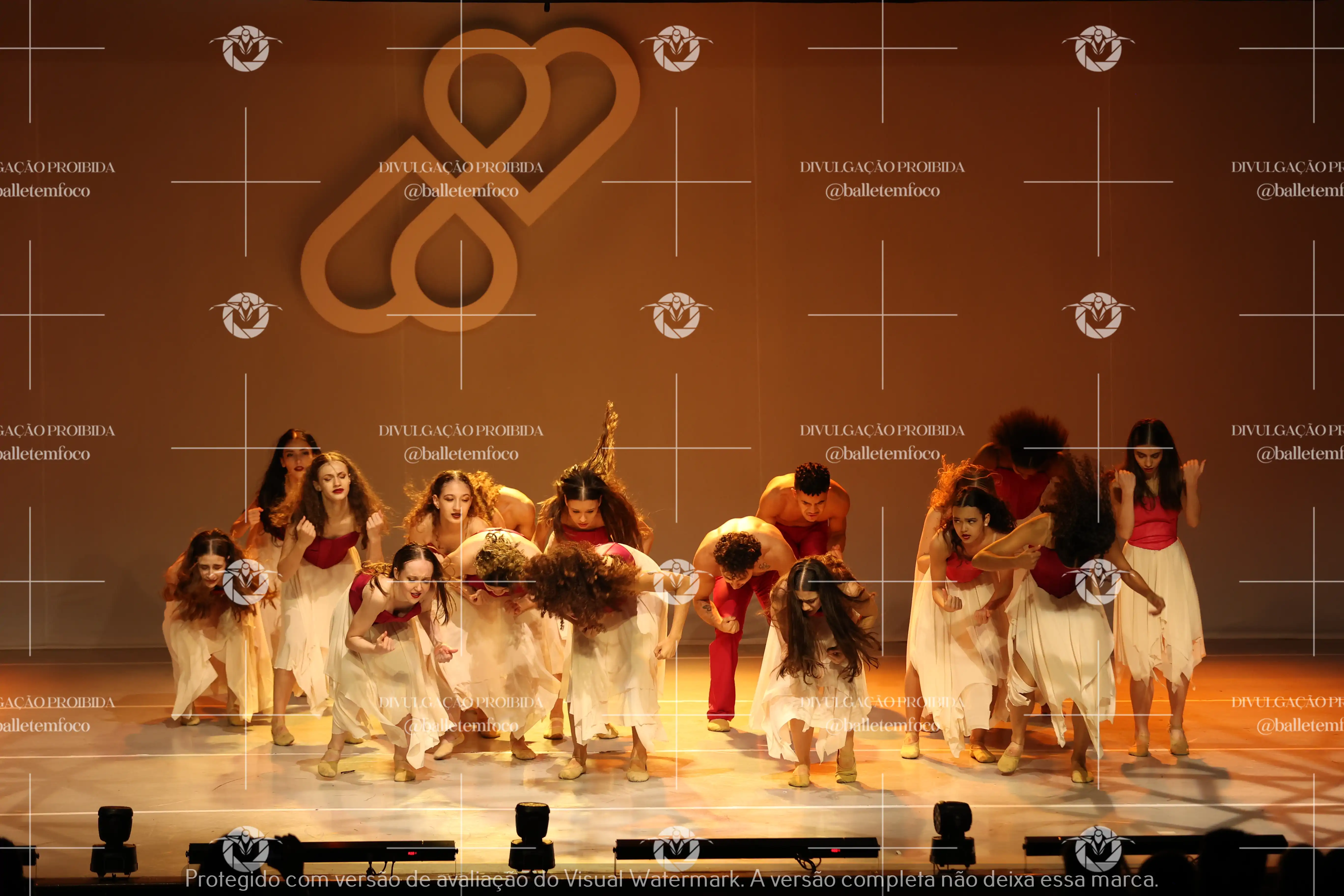 1425_119B (125).webp