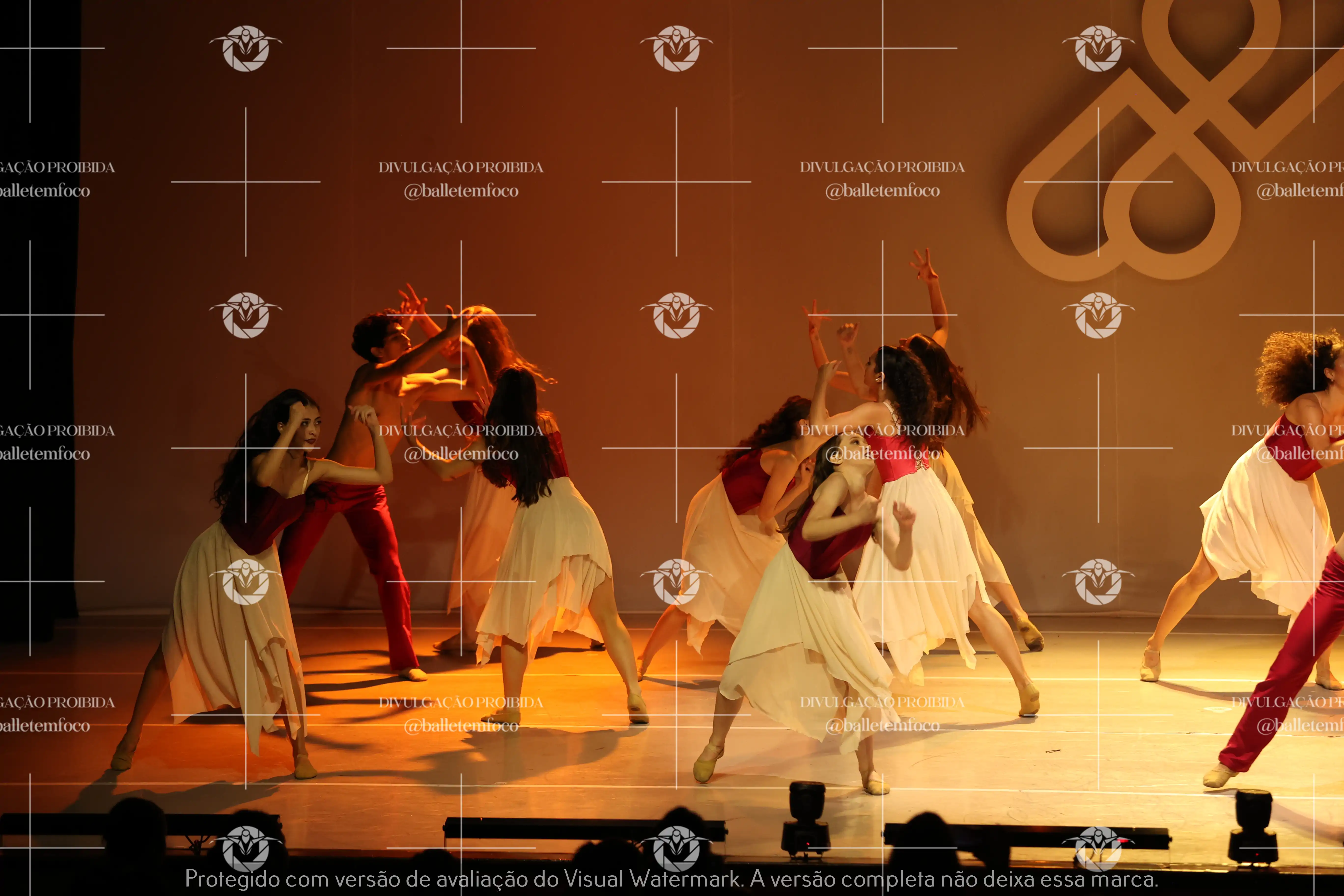 1425_119B (137).webp