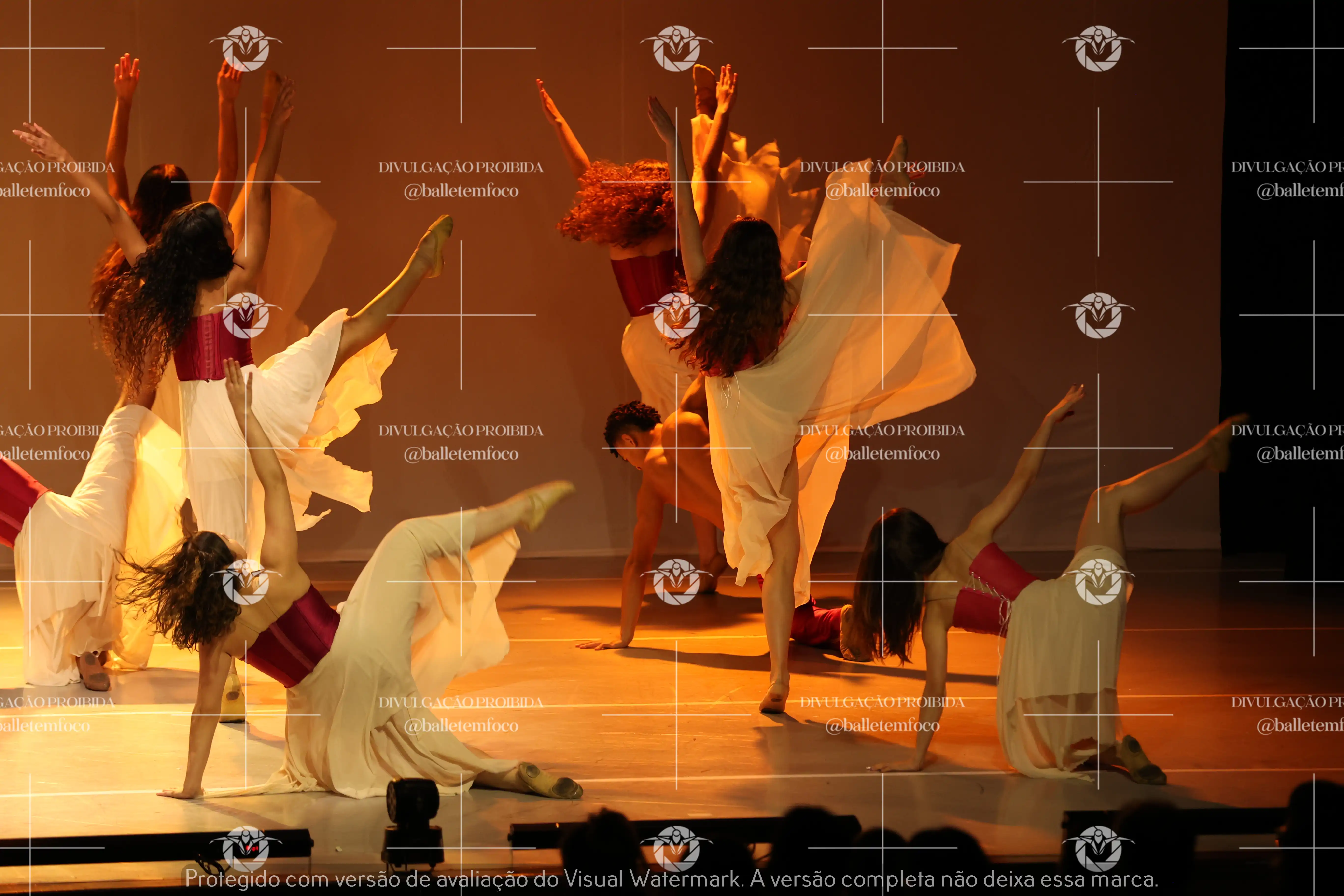 1425_119B (143).webp