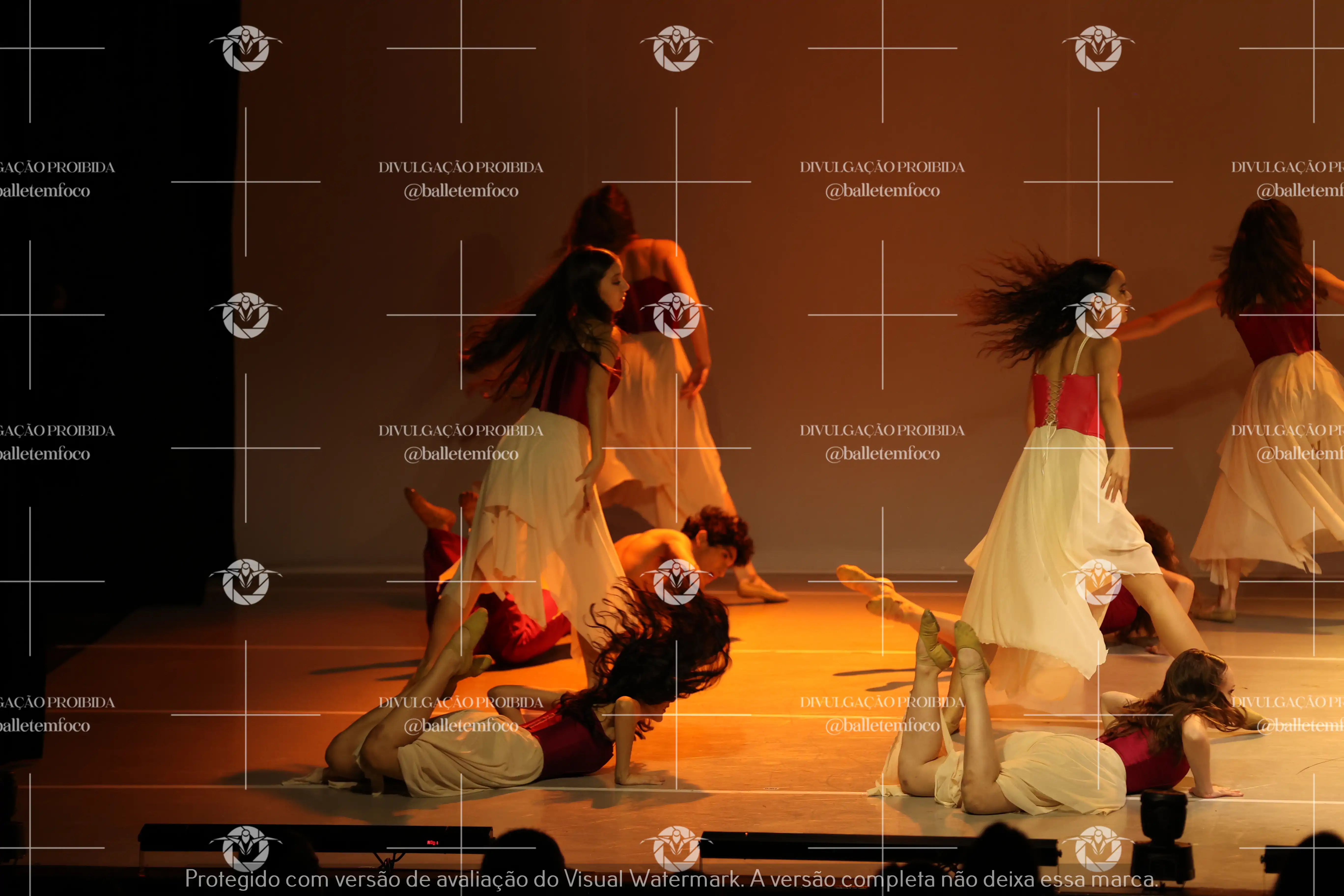 1425_119B (144).webp