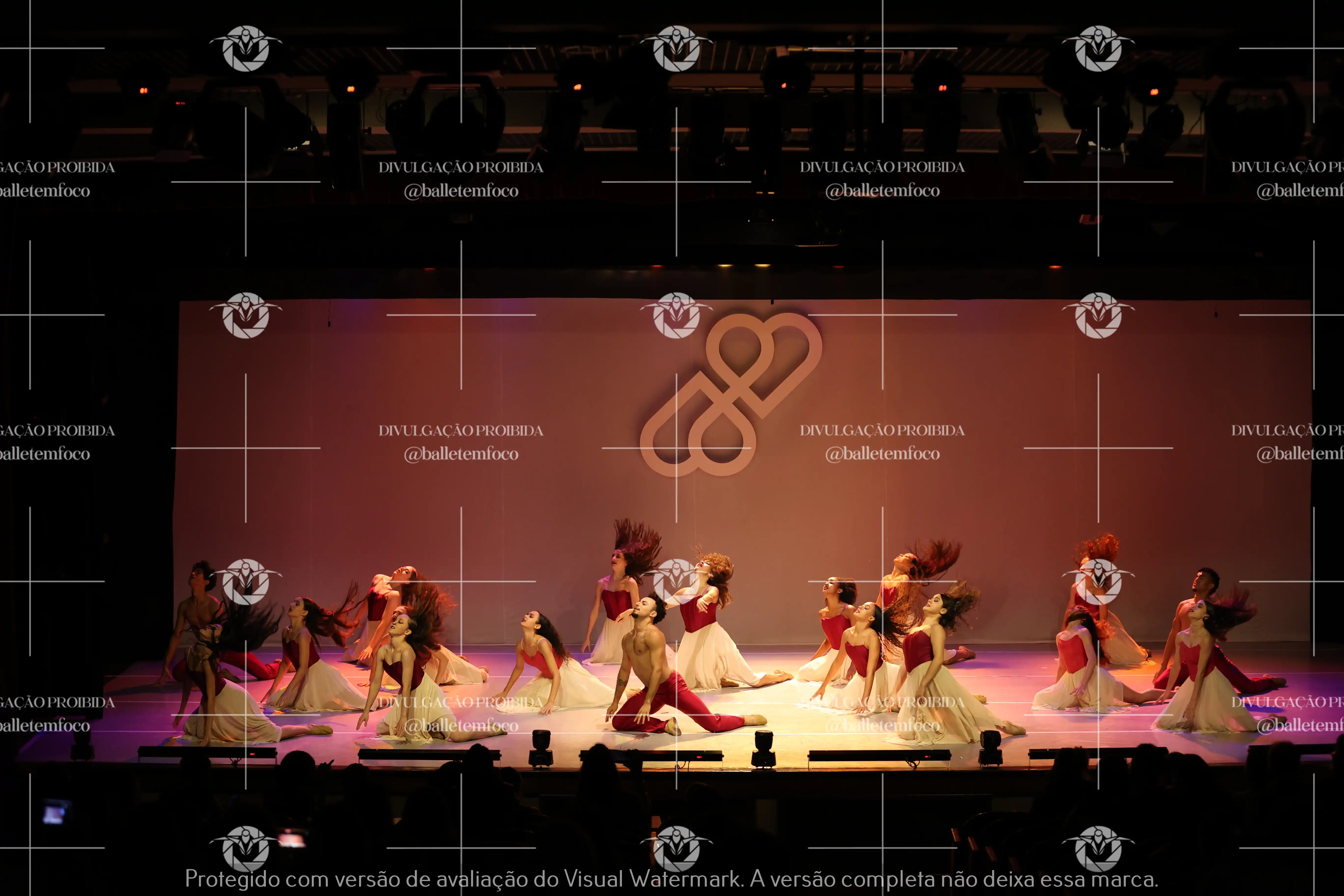 1425_119B (147).webp