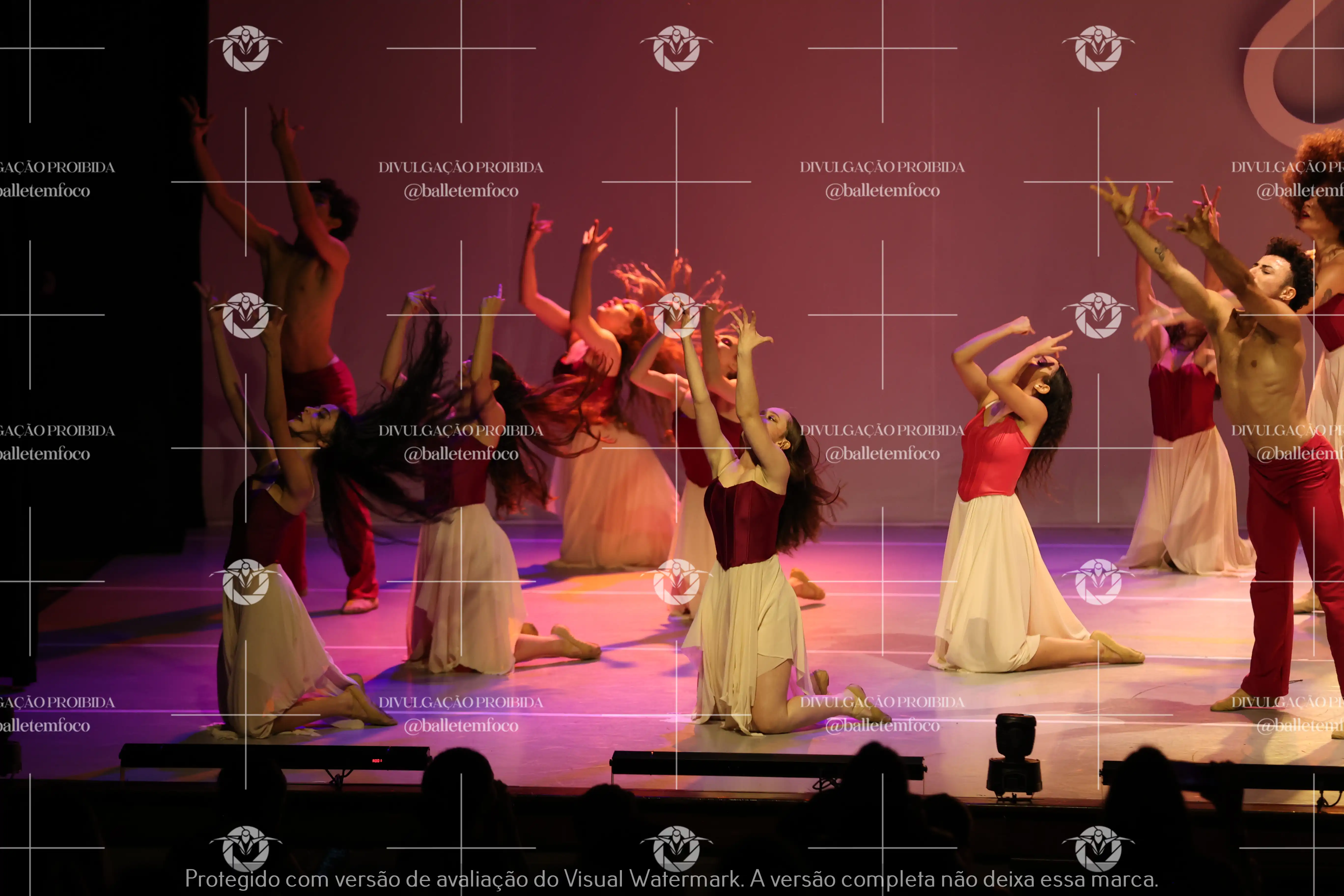 1425_119B (148).webp