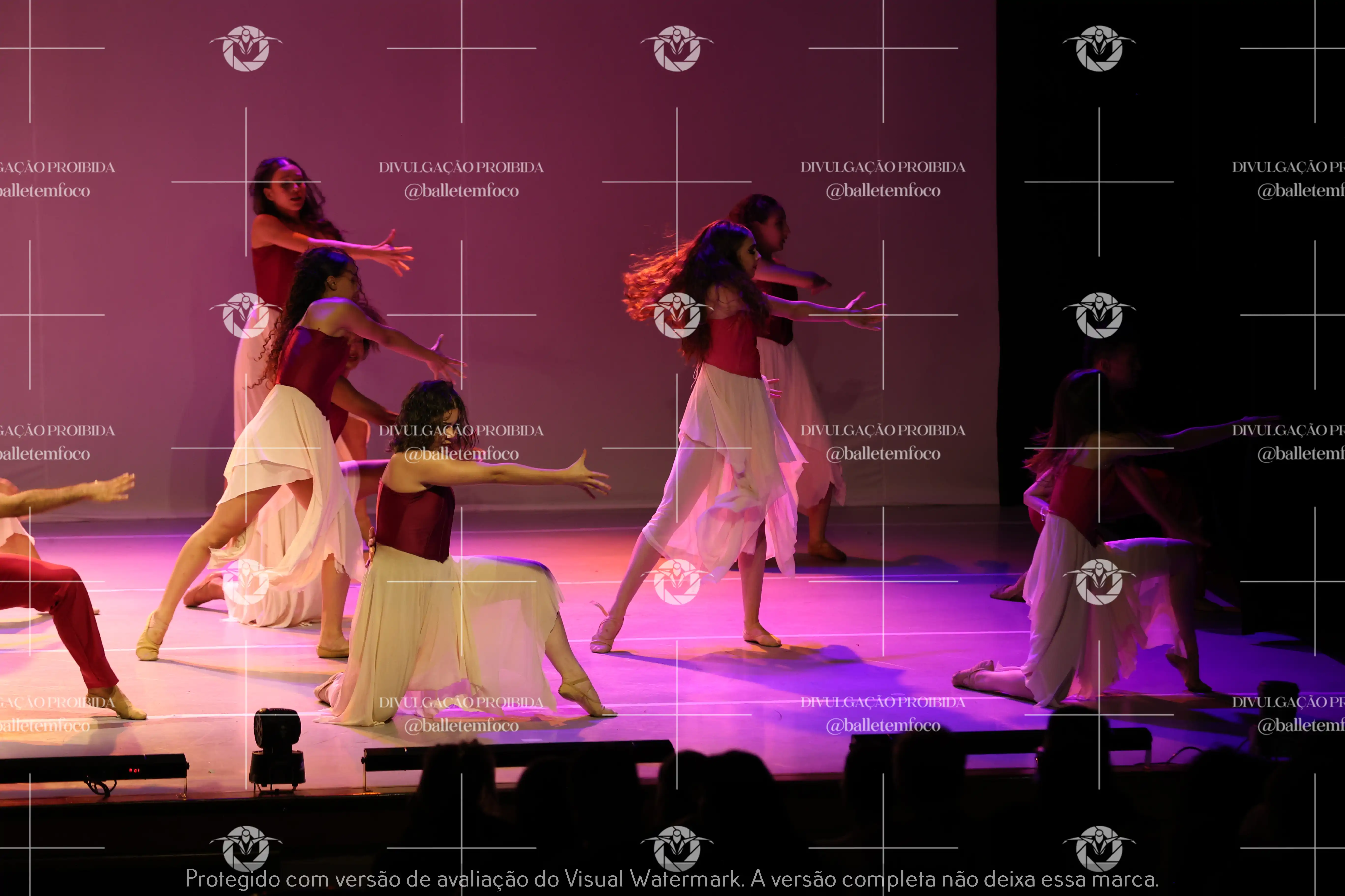 1425_119B (151).webp