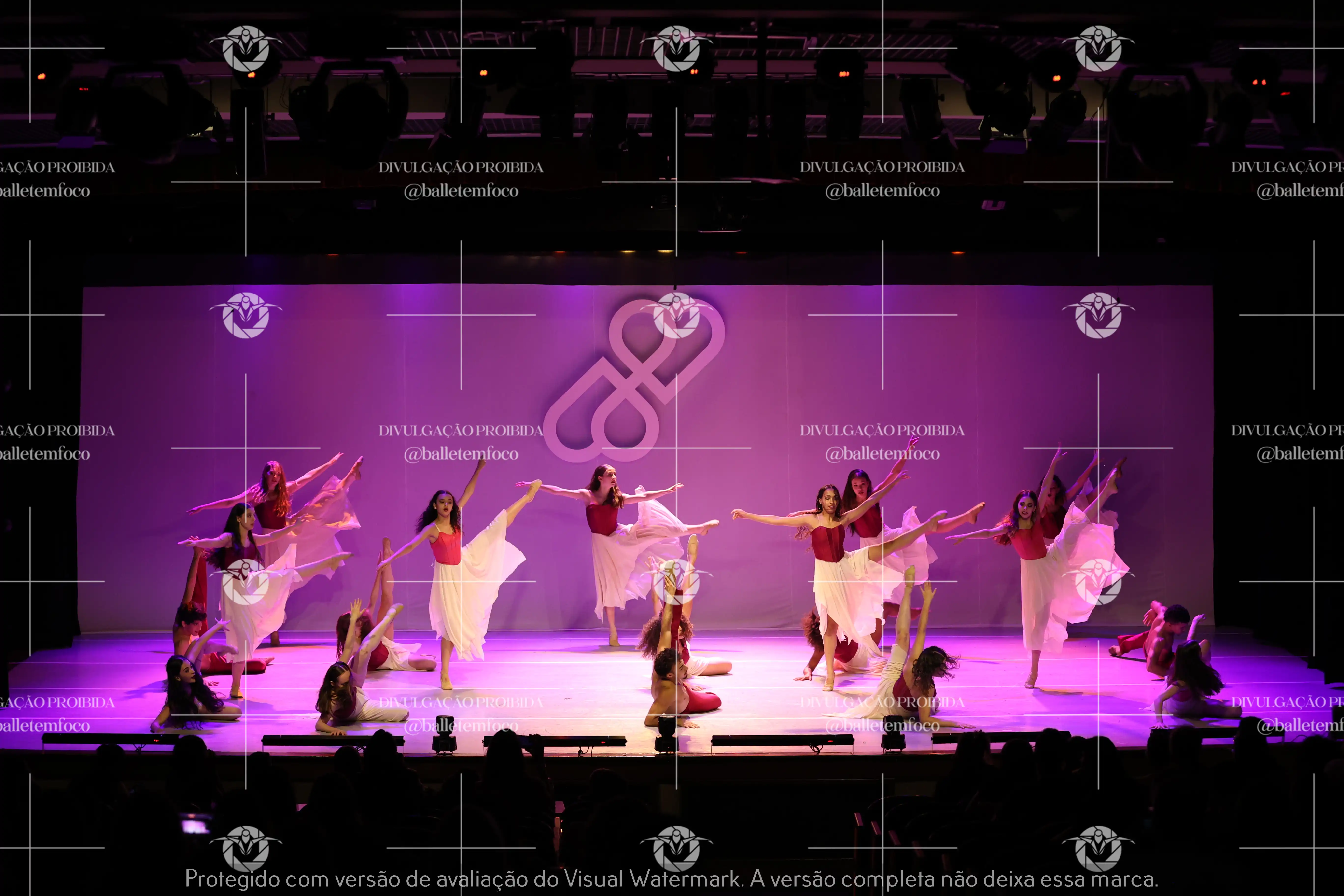 1425_119B (154).webp