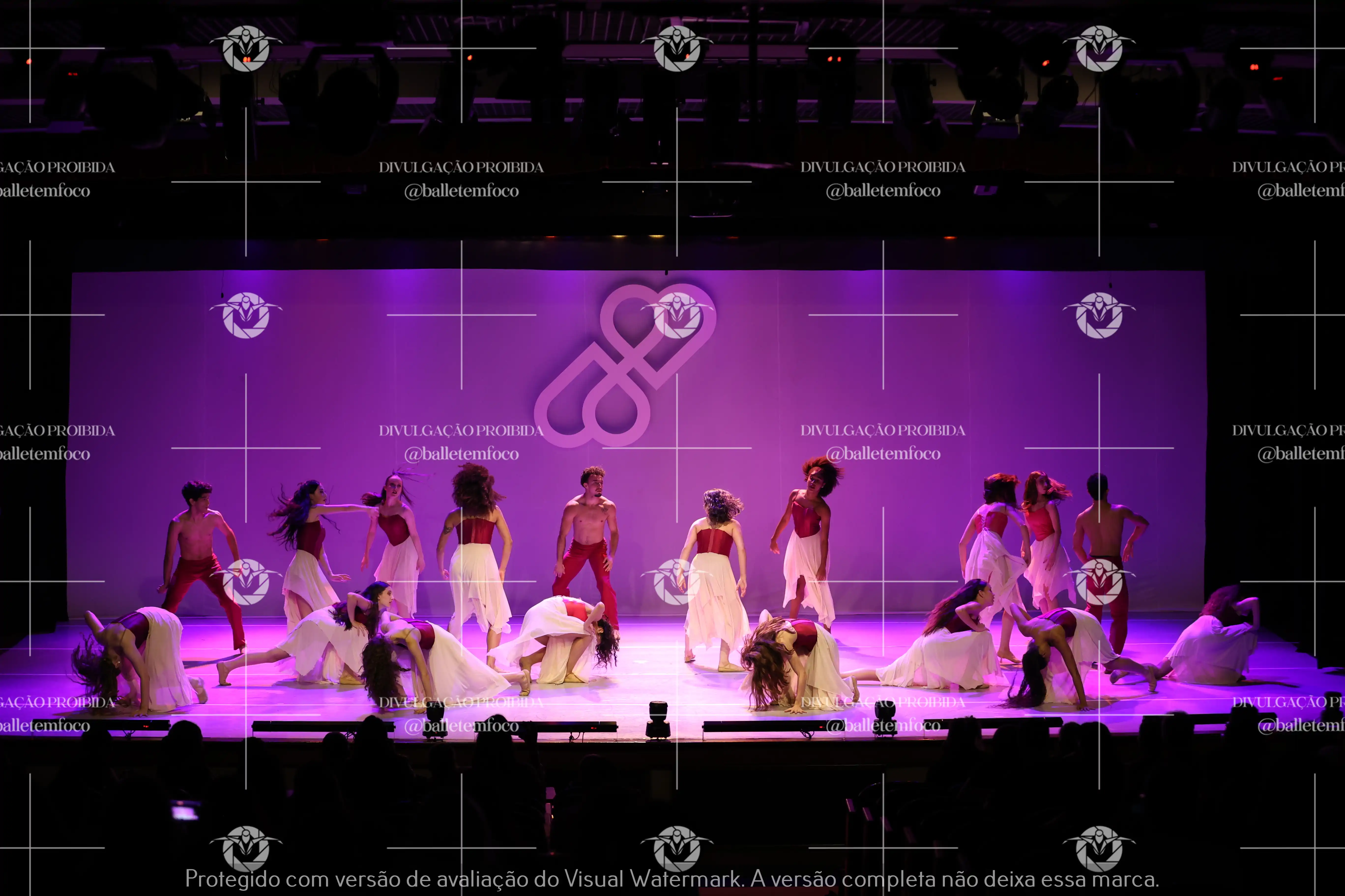 1425_119B (156).webp