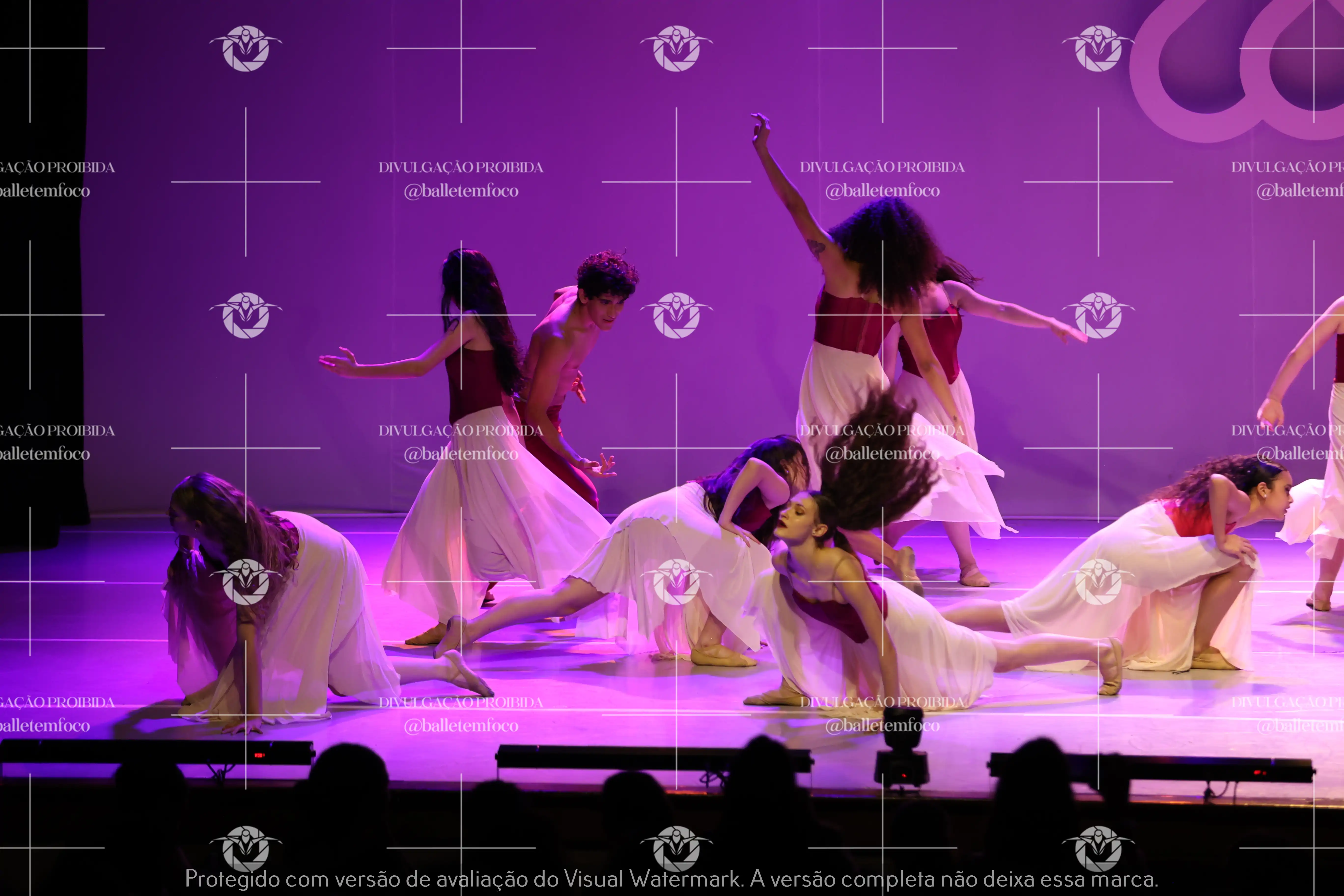 1425_119B (157).webp