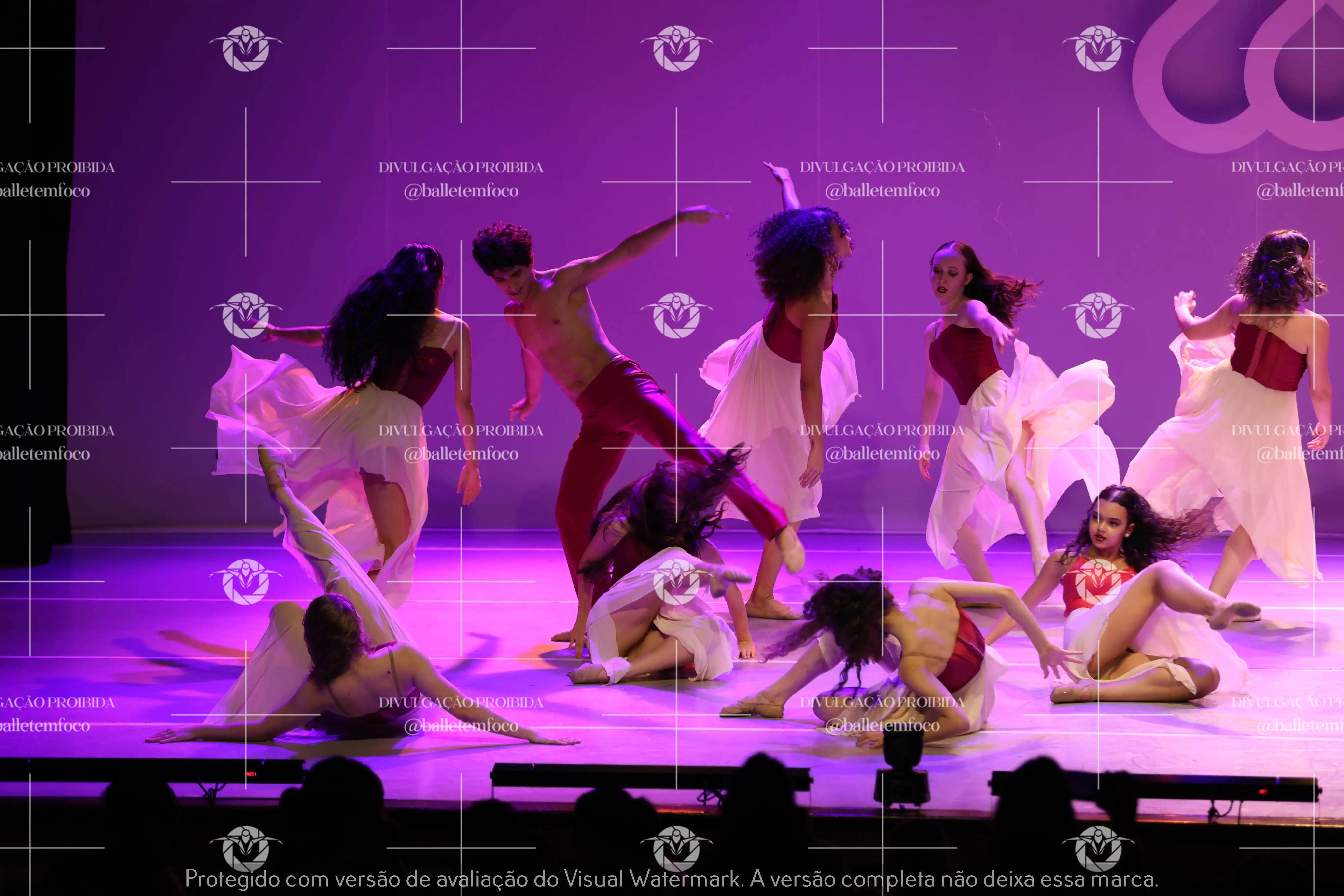 1425_119B (158).webp