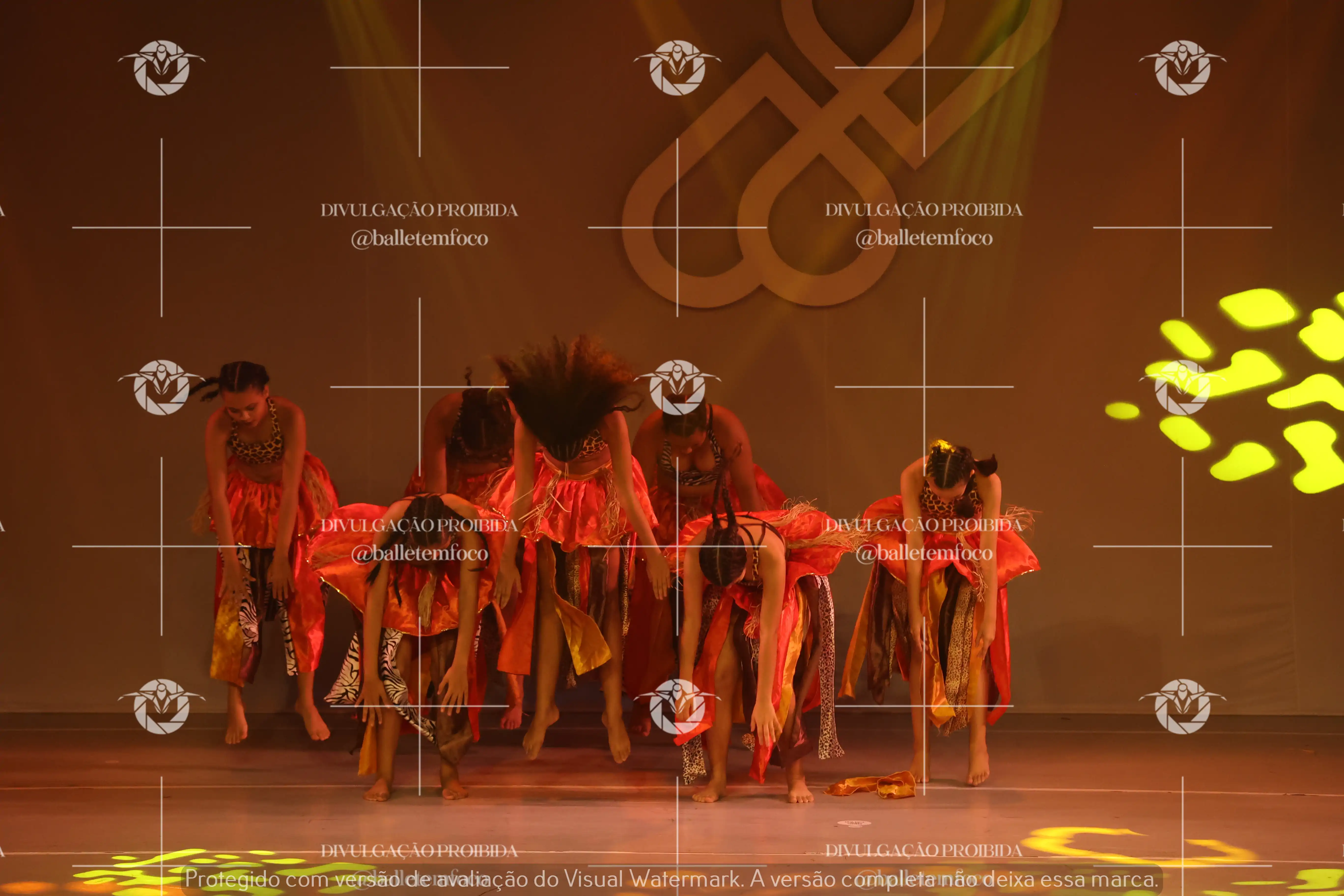 1425_113C (100).webp