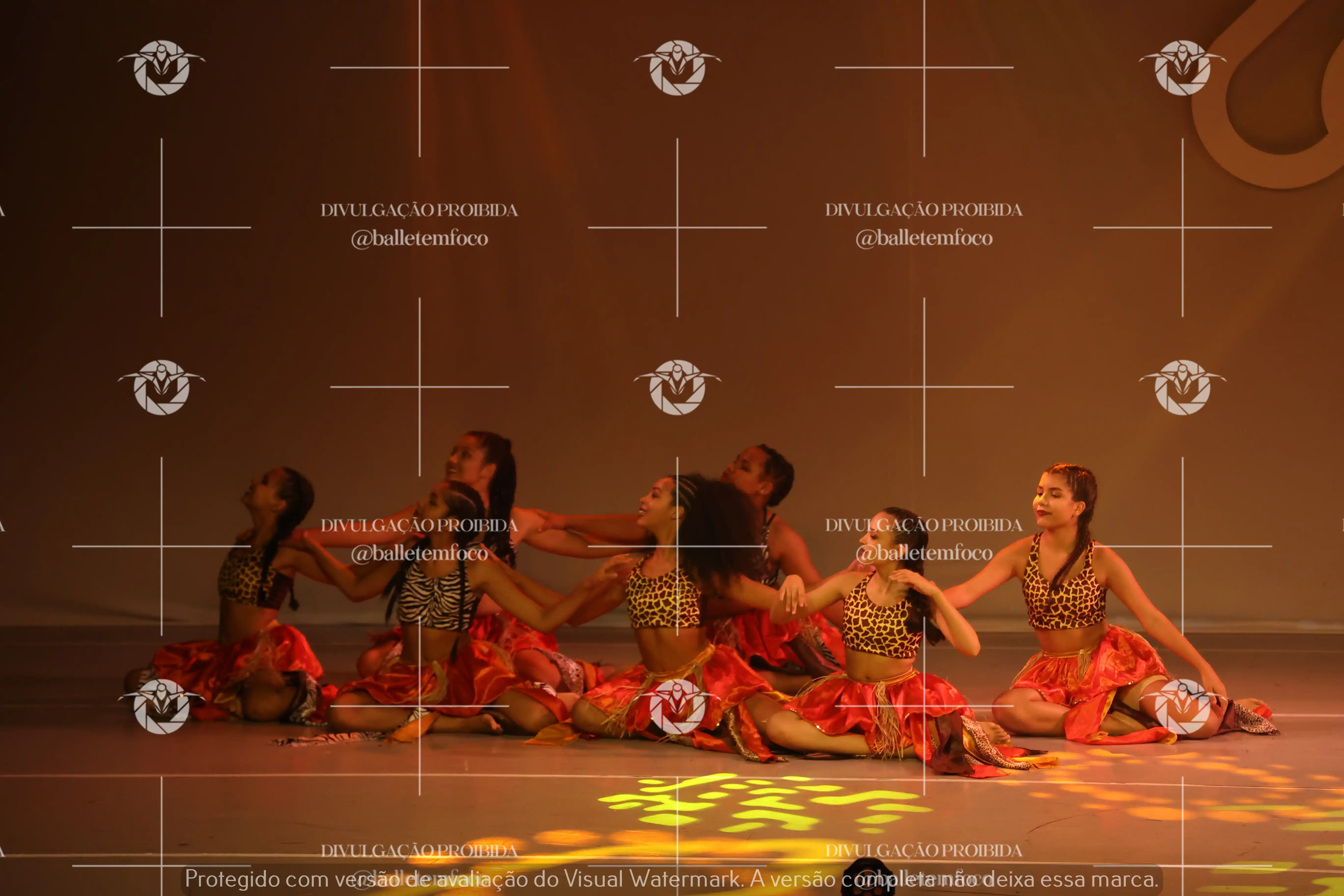 1425_113C (101).webp