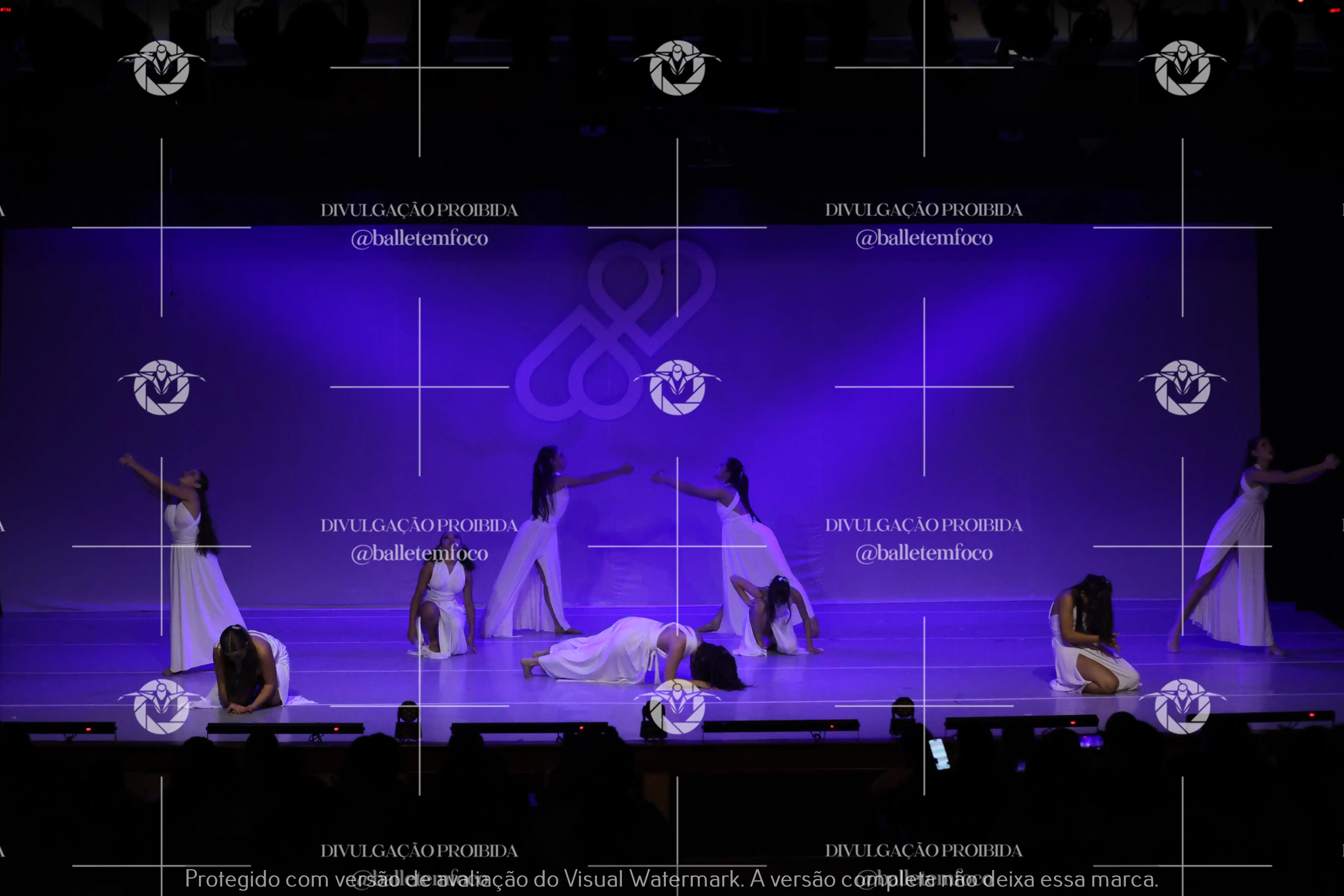 1425_115C (100).webp