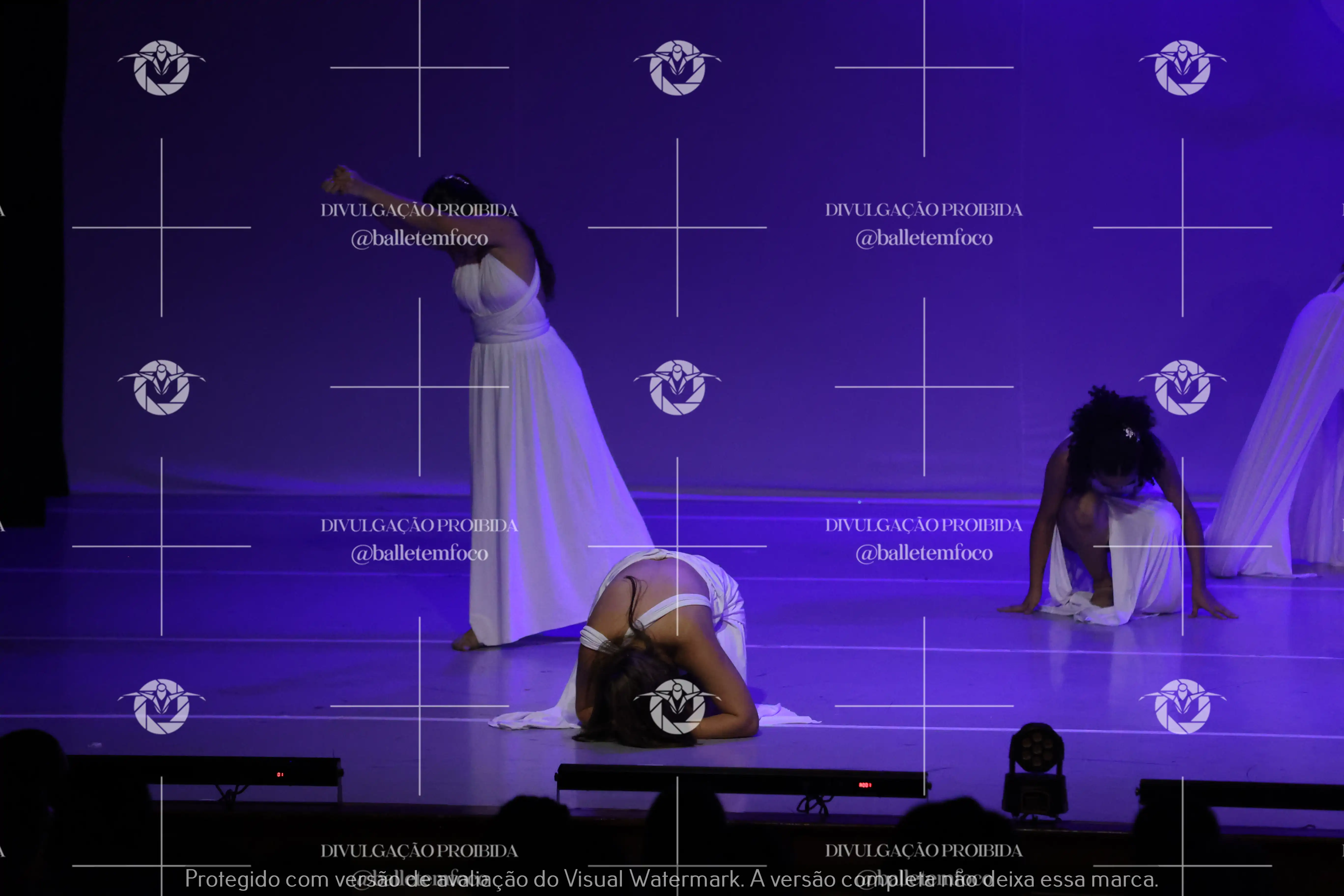 1425_115C (101).webp