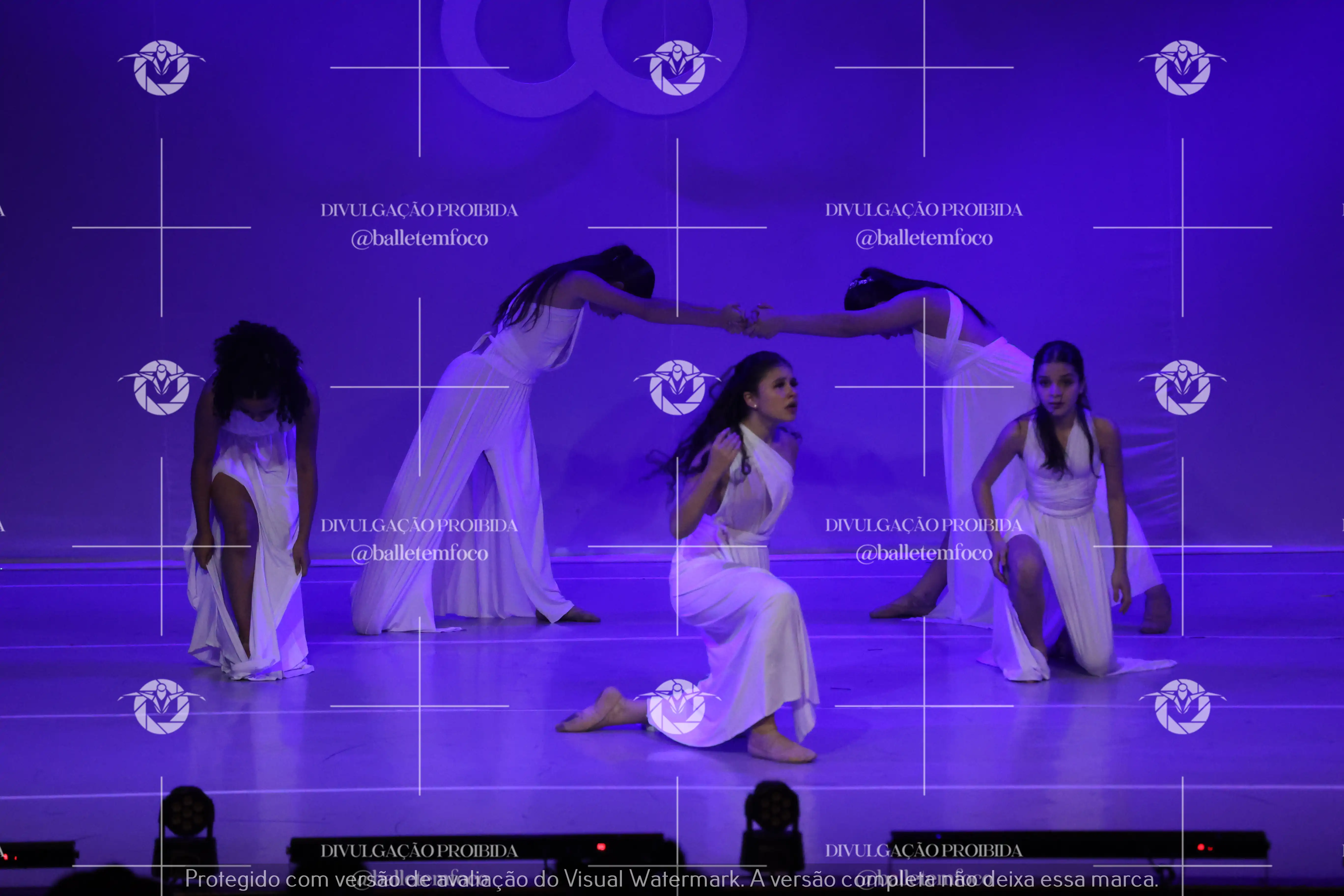 1425_115C (102).webp