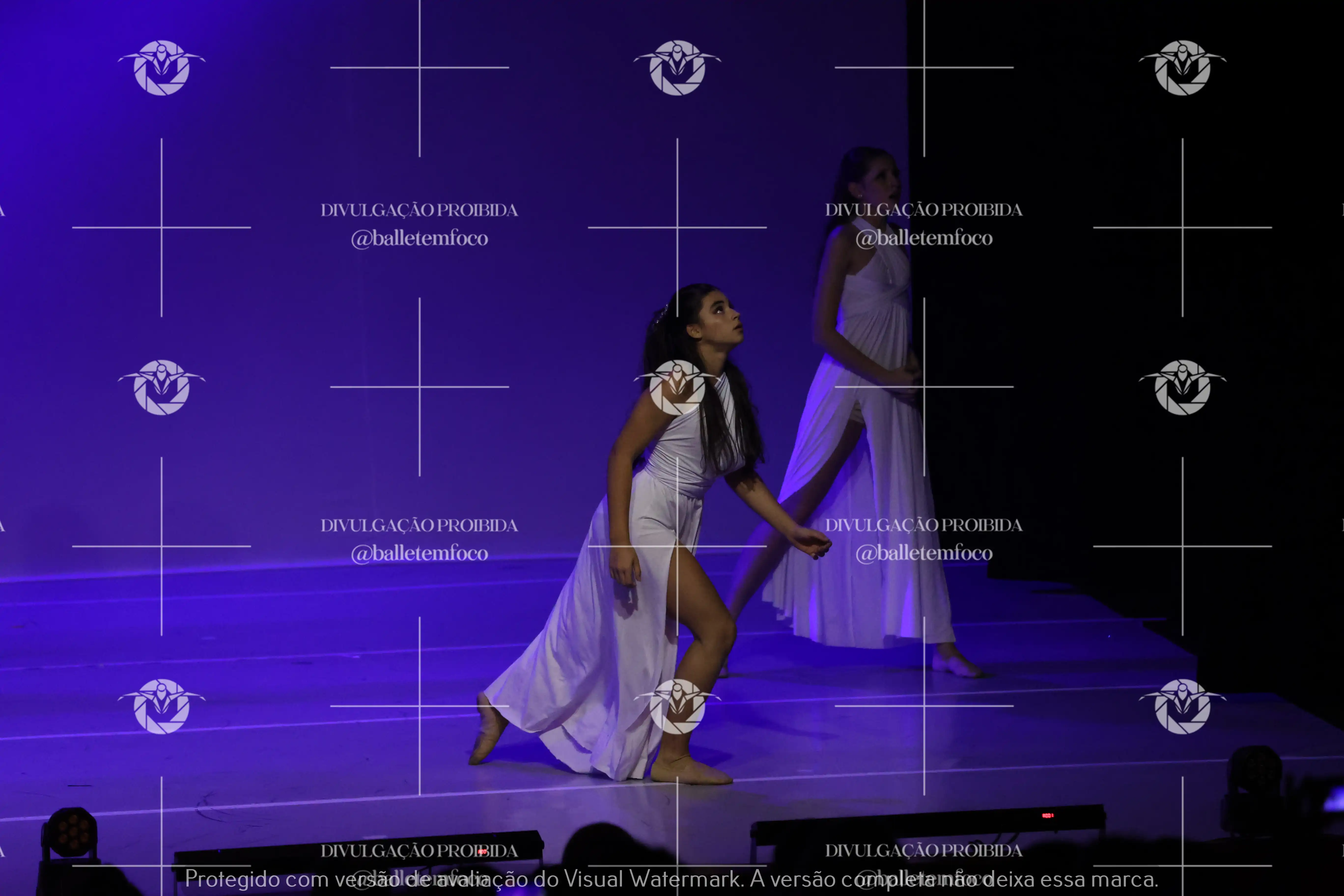 1425_115C (104).webp