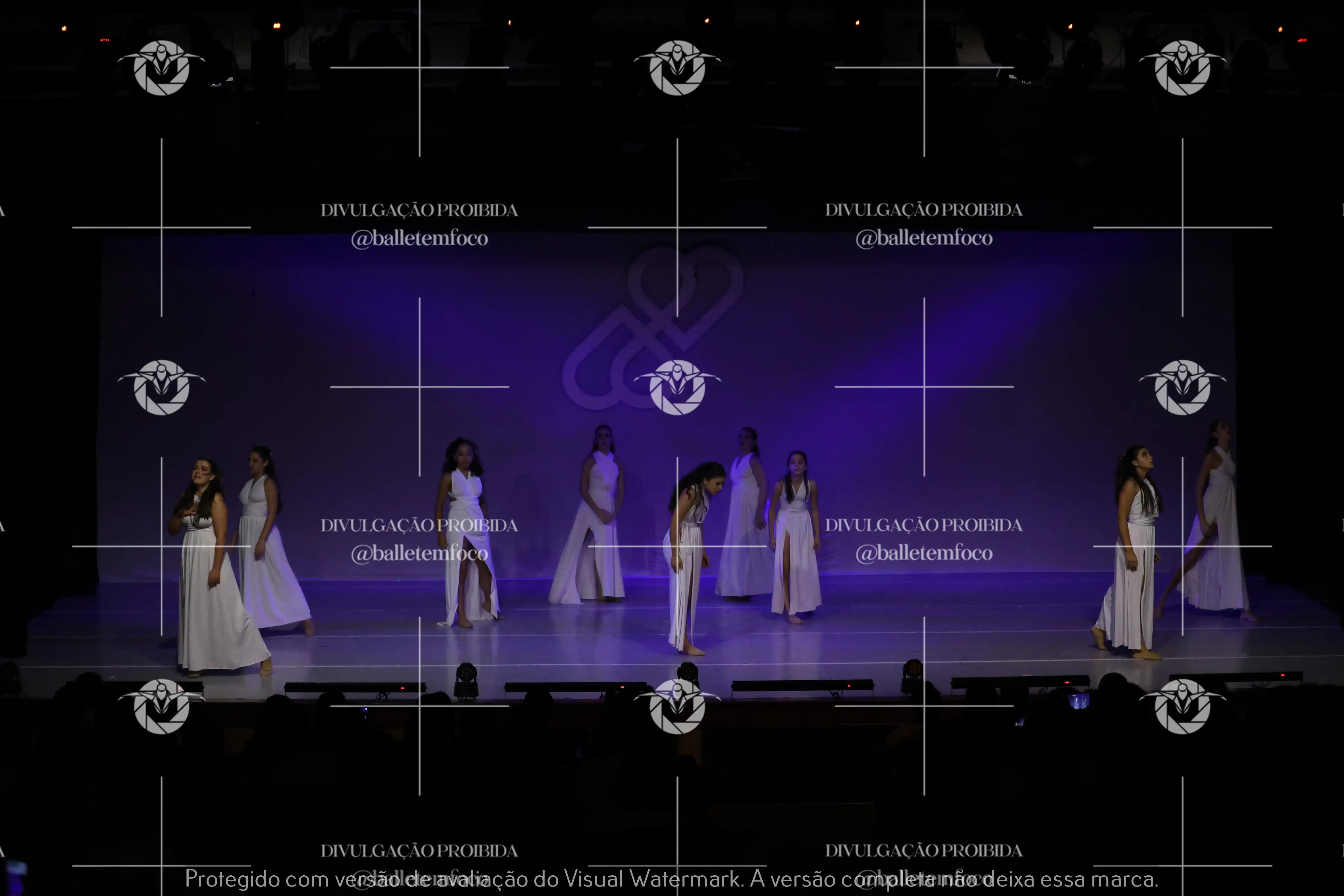 1425_115C (105).webp