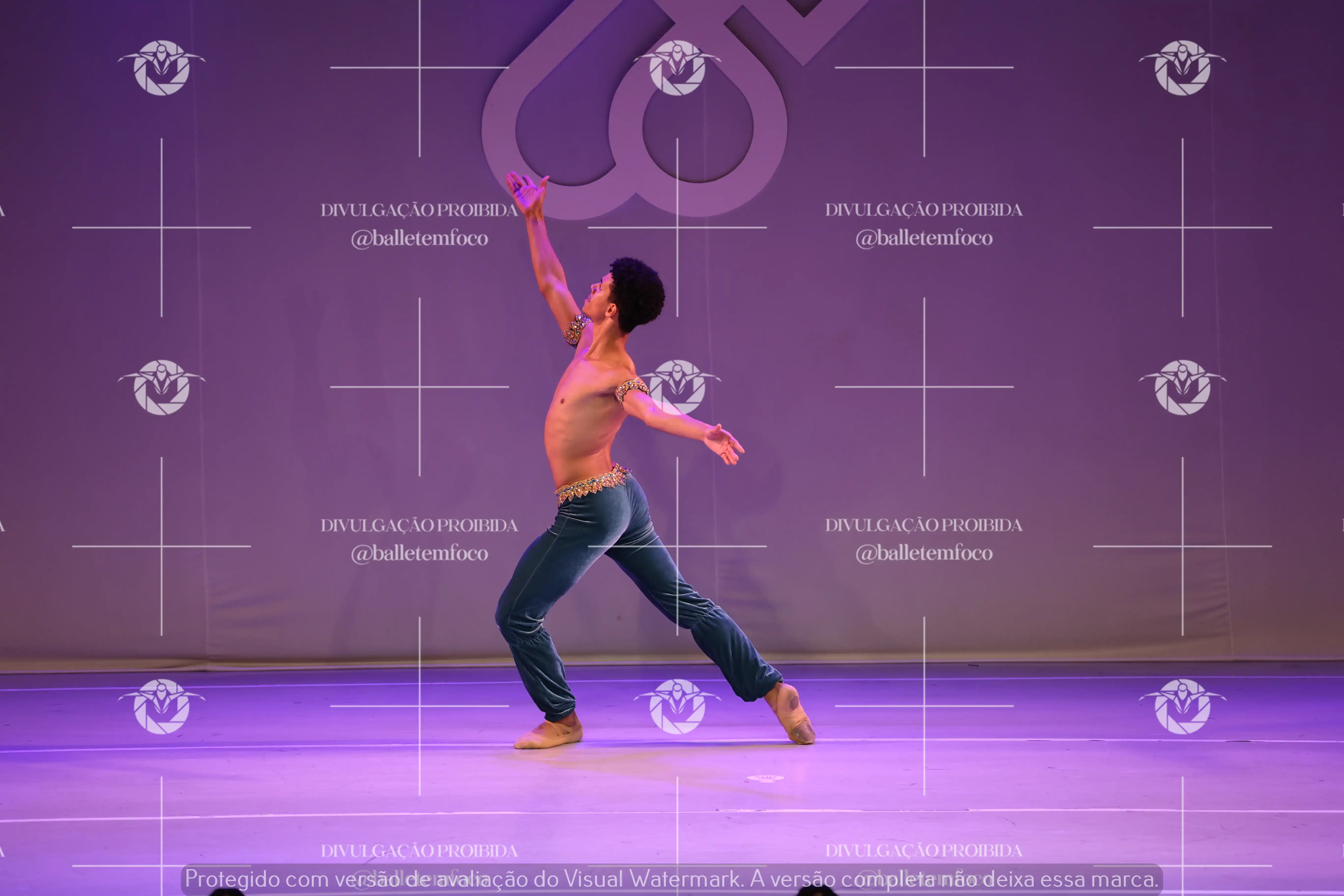 121425_12C (15).webp